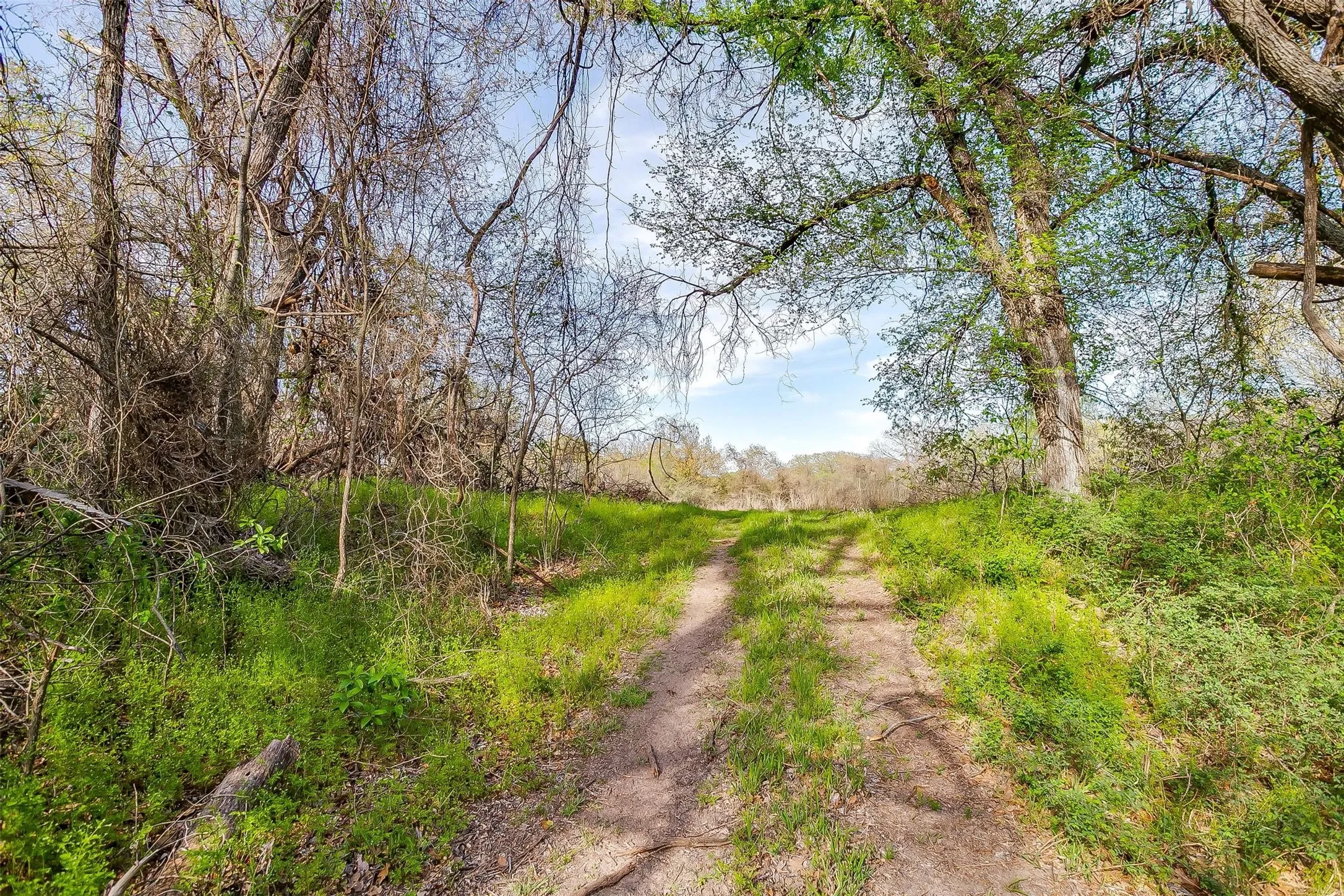 Farm For Sale in Wise County , 599 Private Road 3630, Springtown, Texas 76020, 3 Bedroom, 2 Bathroom, 2 Garage spaces, 2,304 Sqft, built in 2024, Preowned, mls#21139667, Real Estate Agent in Springtown, Homes For Sale in Wise county, Homes For Sale in Springtown, Realtor in Springtown Texas, Real Estate Brokerage Independent Realty Texas, Luminita Cordes Realtor