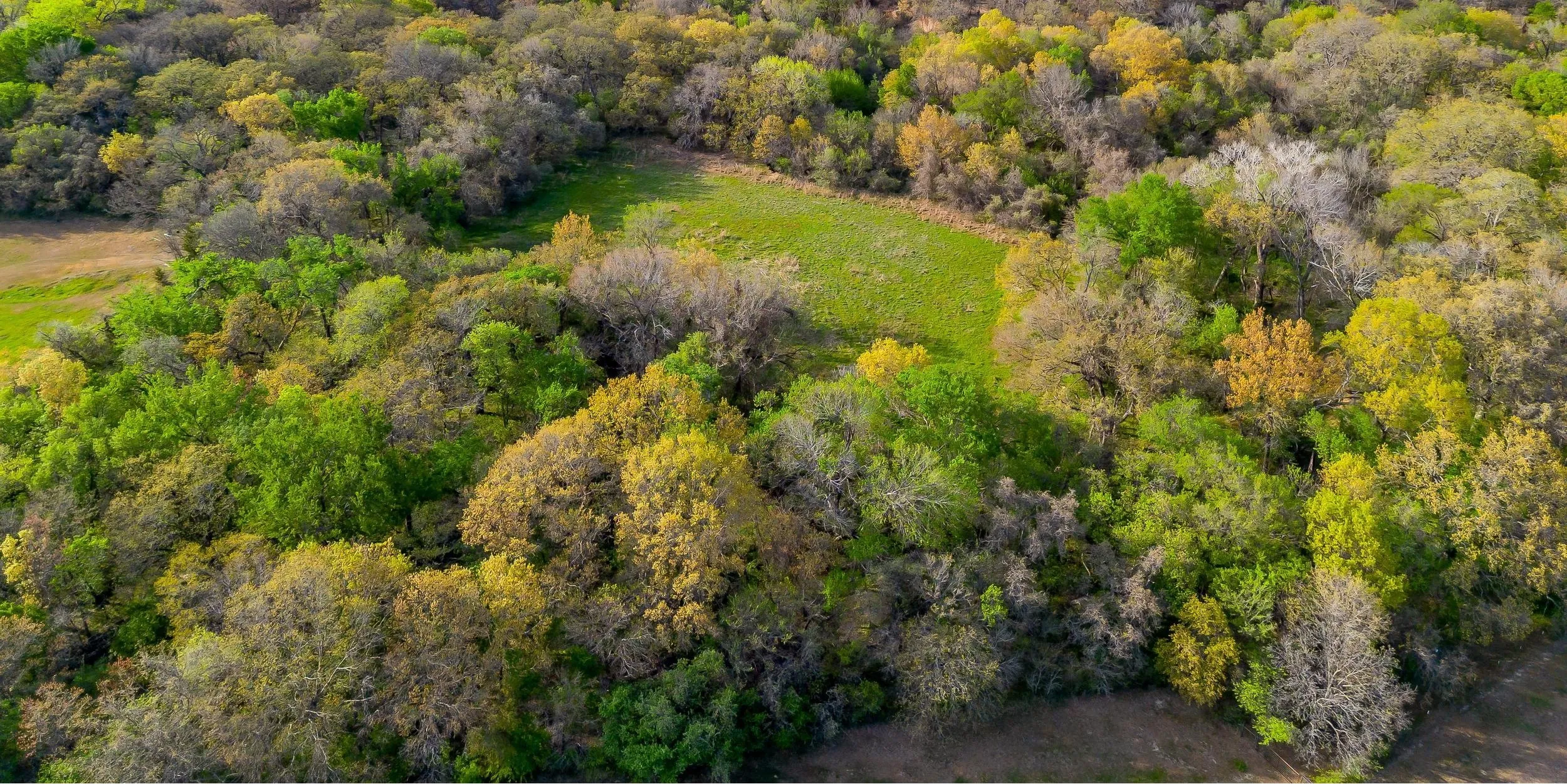 Farm For Sale in Wise County , 599 Private Road 3630, Springtown, Texas 76020, 3 Bedroom, 2 Bathroom, 2 Garage spaces, 2,304 Sqft, built in 2024, Preowned, mls#21139667, Real Estate Agent in Springtown, Homes For Sale in Wise county, Homes For Sale in Springtown, Realtor in Springtown Texas, Real Estate Brokerage Independent Realty Texas, Luminita Cordes Realtor