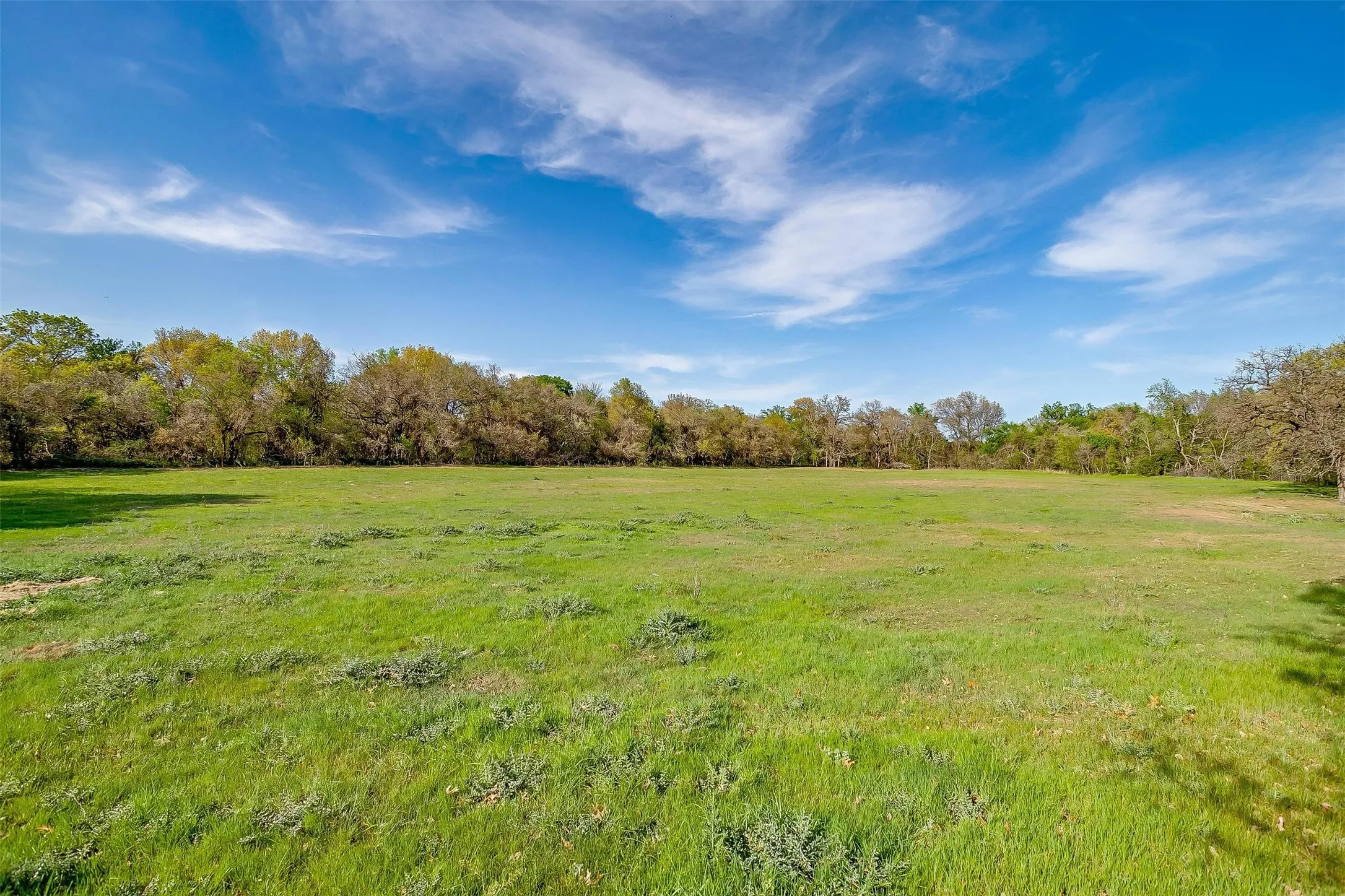 Pasture