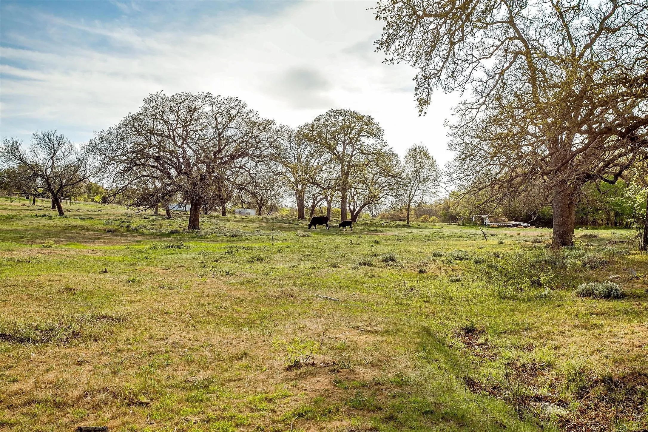 Farm For Sale in Wise County , 599 Private Road 3630, Springtown, Texas 76020, 3 Bedroom, 2 Bathroom, 2 Garage spaces, 2,304 Sqft, built in 2024, Preowned, mls#21139667, Real Estate Agent in Springtown, Homes For Sale in Wise county, Homes For Sale in Springtown, Realtor in Springtown Texas, Real Estate Brokerage Independent Realty Texas, Luminita Cordes Realtor