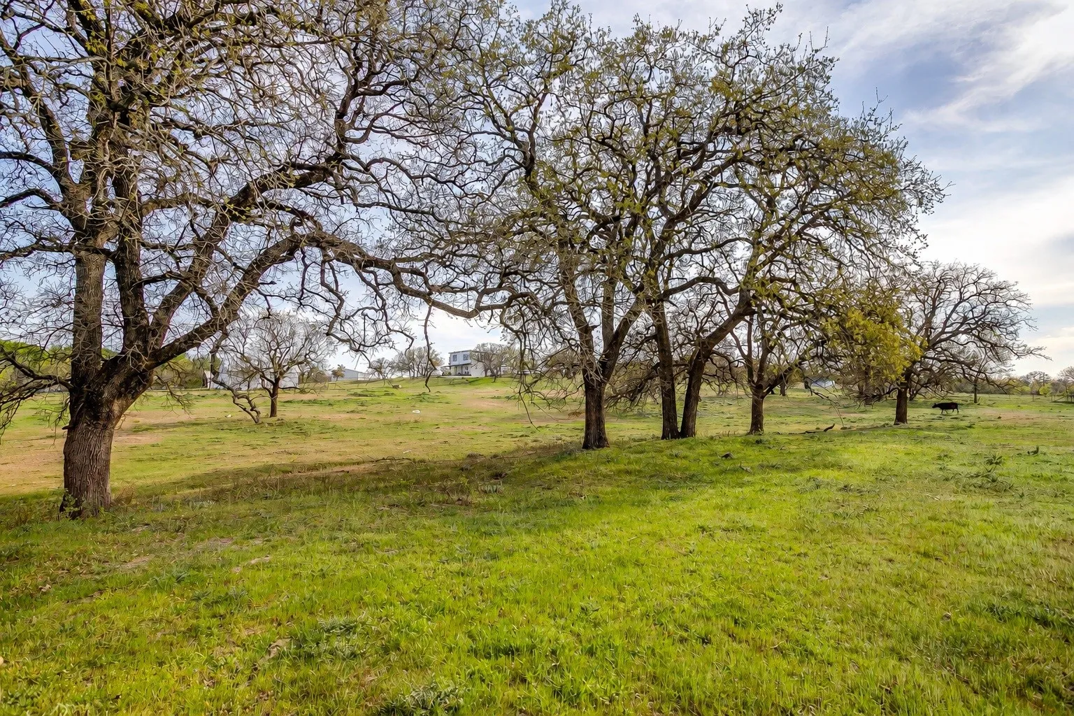 Farm For Sale in Wise County , 599 Private Road 3630, Springtown, Texas 76020, 3 Bedroom, 2 Bathroom, 2 Garage spaces, 2,304 Sqft, built in 2024, Preowned, mls#21139667, Real Estate Agent in Springtown, Homes For Sale in Wise county, Homes For Sale in Springtown, Realtor in Springtown Texas, Real Estate Brokerage Independent Realty Texas, Luminita Cordes Realtor