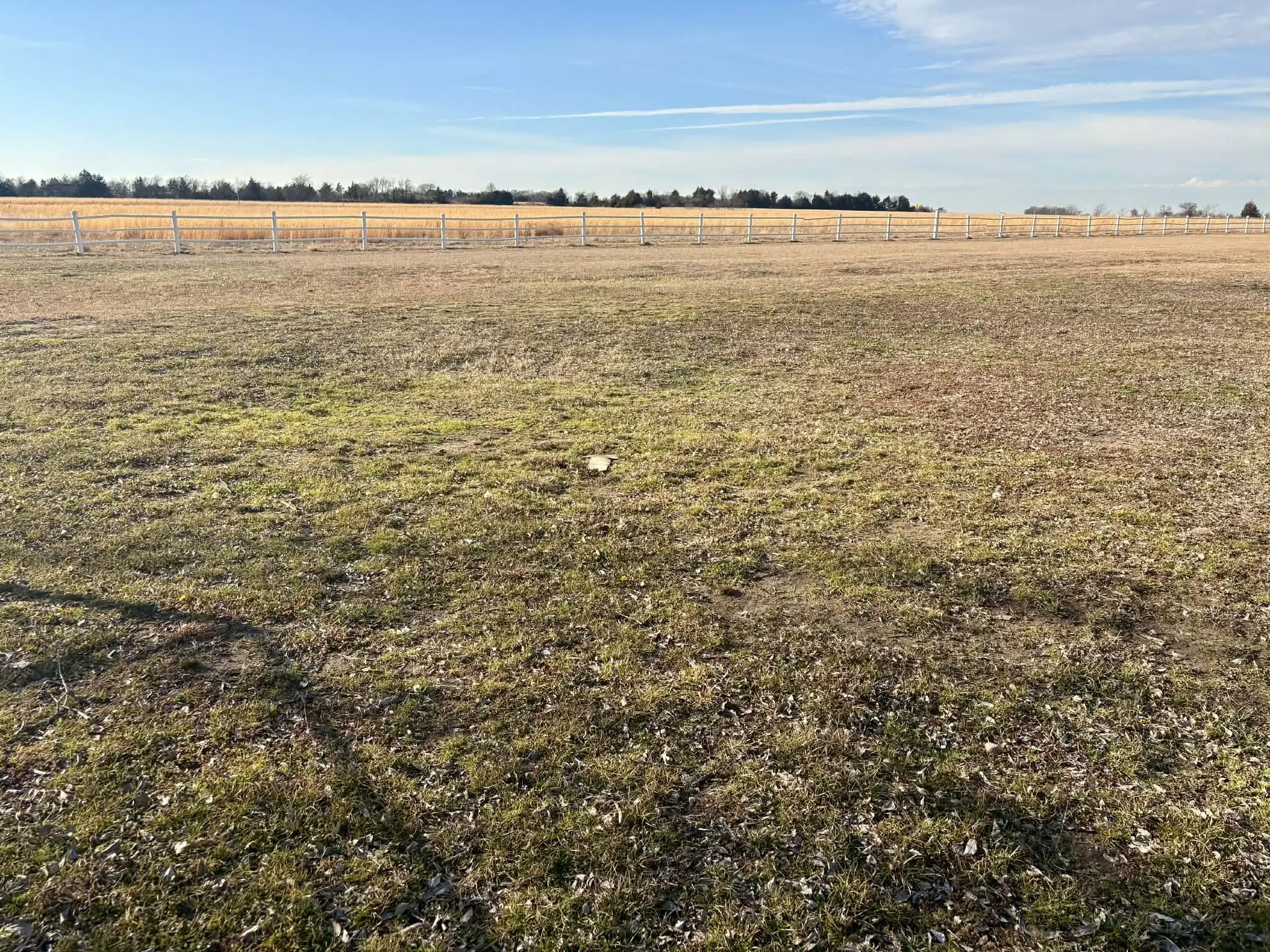 Single Family Residence For Sale in Fannin County , 636 County Road 1535, Bonham, Texas 75418, 3 Bedroom, 3 Bathroom, 1 Garage spaces, 2,988 Sqft, built in 1980, mls#21174686, Real Estate Agent in Bonham, Homes For Sale in Fannin county, Homes For Sale in Bonham, Realtor in Bonham Texas, Real Estate Brokerage Independent Realty Texas, Luminita Cordes Realtor