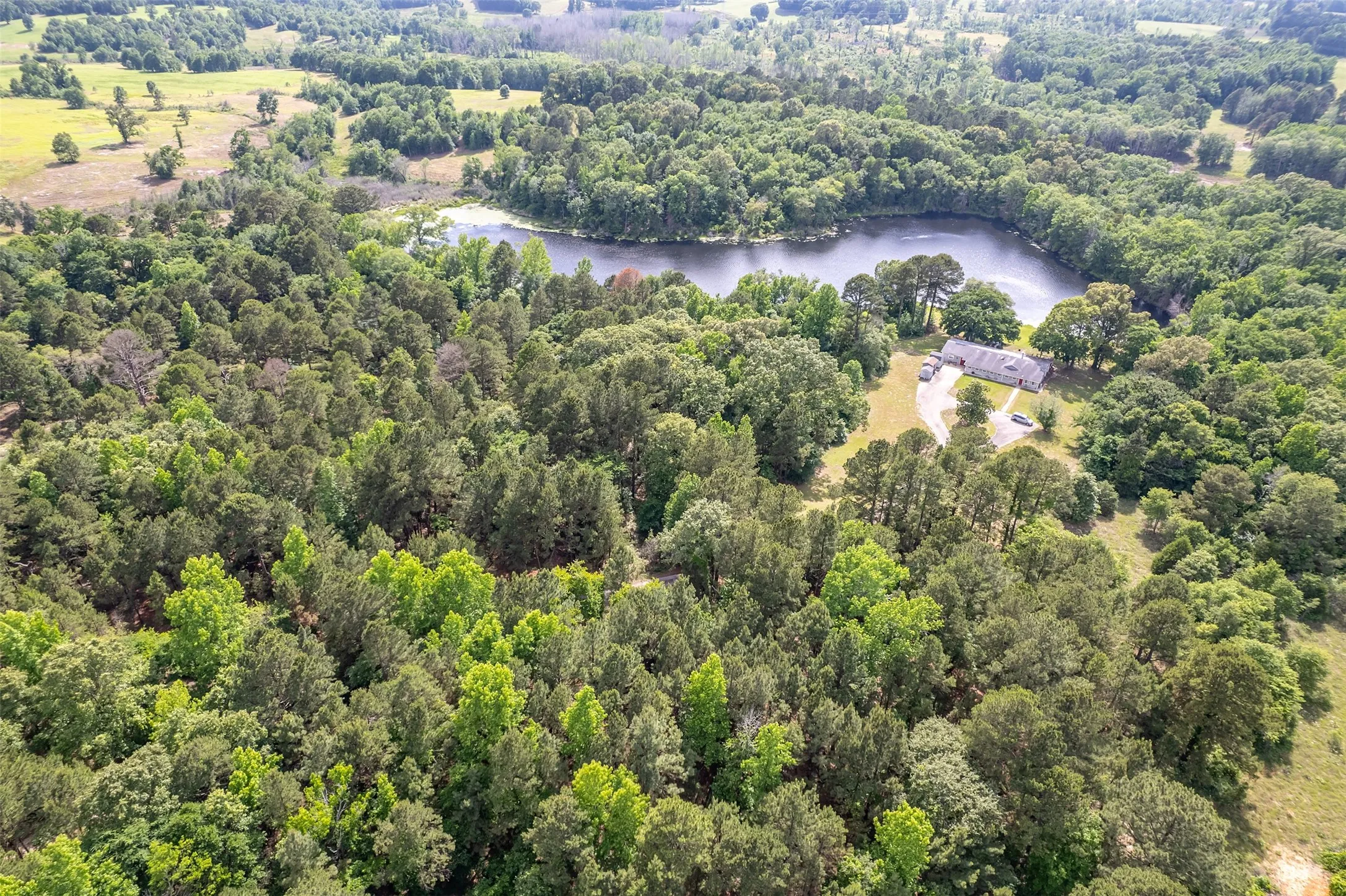Improved Land For Sale in Smith County , 16437 COUNTY ROAD 3147, Tyler, Texas 75706, 0, 0, Garage spaces, 0 Sqft, built in 0, Price $1,176,483, mls#21176123, Real Estate Agent in Tyler, Homes For Sale in Smith county, Homes For Sale in Tyler, Realtor in Tyler Texas, Real Estate Brokerage Independent Realty Texas, Luminita Cordes Realtor