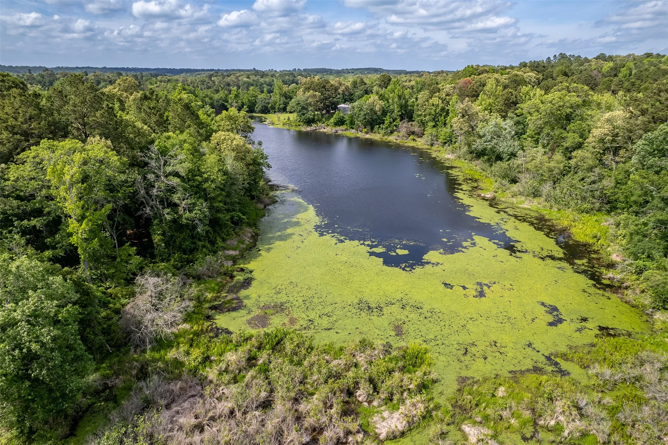 Improved Land For Sale in Smith County , 16437 COUNTY ROAD 3147, Tyler, Texas 75706, 0, 0, Garage spaces, 0 Sqft, built in 0, Price $1,176,483, mls#21176123, Real Estate Agent in Tyler, Homes For Sale in Smith county, Homes For Sale in Tyler, Realtor in Tyler Texas, Real Estate Brokerage Independent Realty Texas, Luminita Cordes Realtor