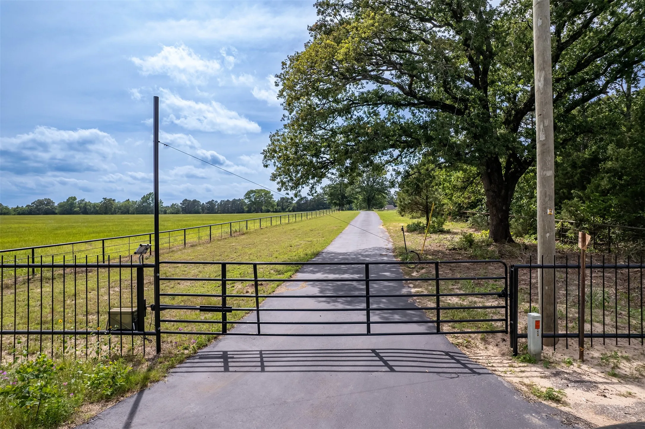 Improved Land For Sale in Smith County , 16437 COUNTY ROAD 3147, Tyler, Texas 75706, 0, 0, Garage spaces, 0 Sqft, built in 0, Price $1,176,483, mls#21176123, Real Estate Agent in Tyler, Homes For Sale in Smith county, Homes For Sale in Tyler, Realtor in Tyler Texas, Real Estate Brokerage Independent Realty Texas, Luminita Cordes Realtor