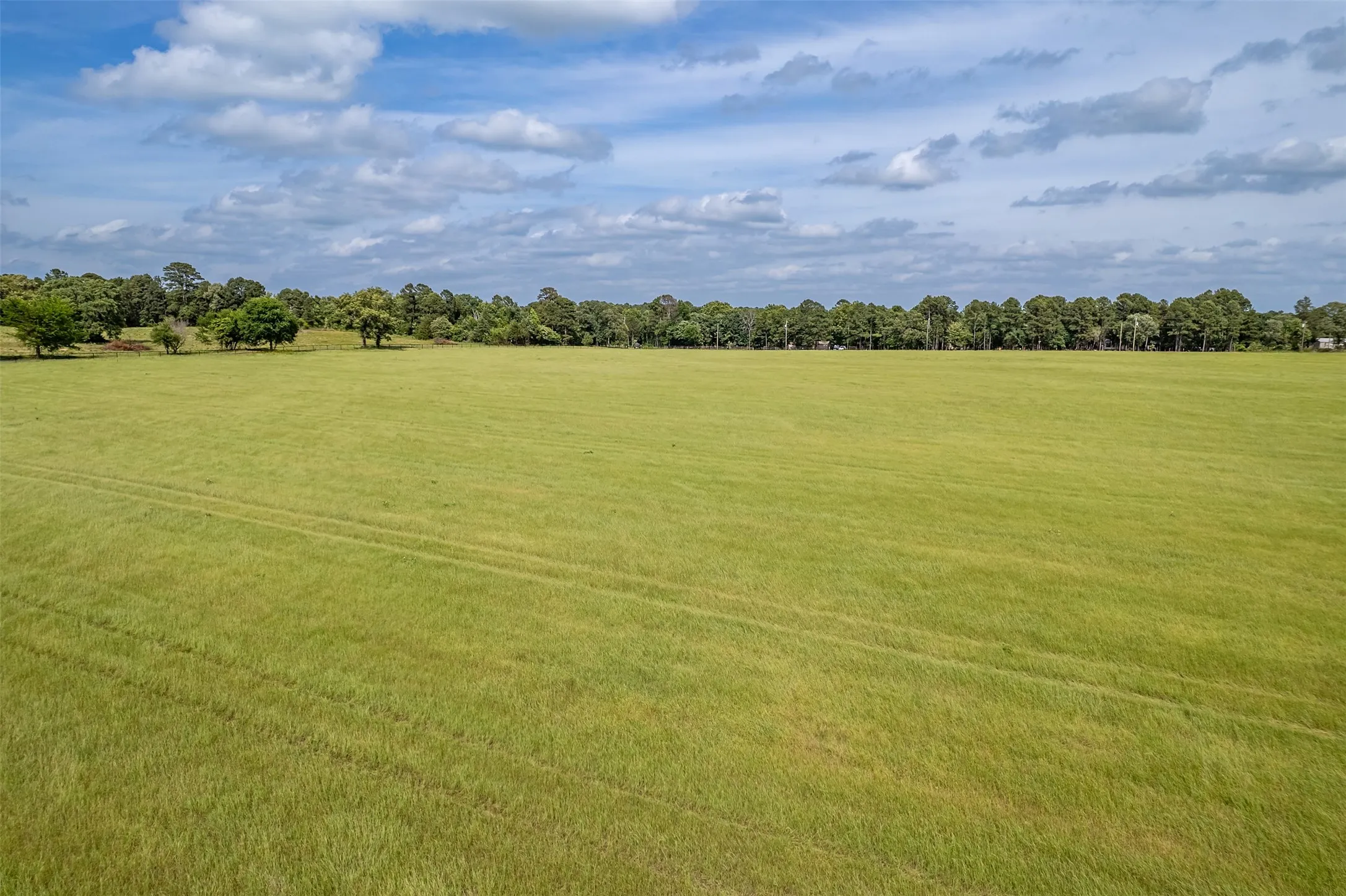 Improved Land For Sale in Smith County , 16437 COUNTY ROAD 3147, Tyler, Texas 75706, 0, 0, Garage spaces, 0 Sqft, built in 0, Price $1,176,483, mls#21176123, Real Estate Agent in Tyler, Homes For Sale in Smith county, Homes For Sale in Tyler, Realtor in Tyler Texas, Real Estate Brokerage Independent Realty Texas, Luminita Cordes Realtor