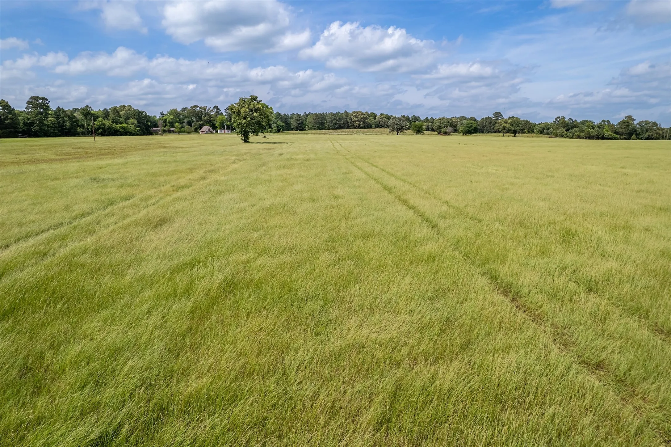 Improved Land For Sale in Smith County , 16437 COUNTY ROAD 3147, Tyler, Texas 75706, 0, 0, Garage spaces, 0 Sqft, built in 0, Price $1,176,483, mls#21176123, Real Estate Agent in Tyler, Homes For Sale in Smith county, Homes For Sale in Tyler, Realtor in Tyler Texas, Real Estate Brokerage Independent Realty Texas, Luminita Cordes Realtor