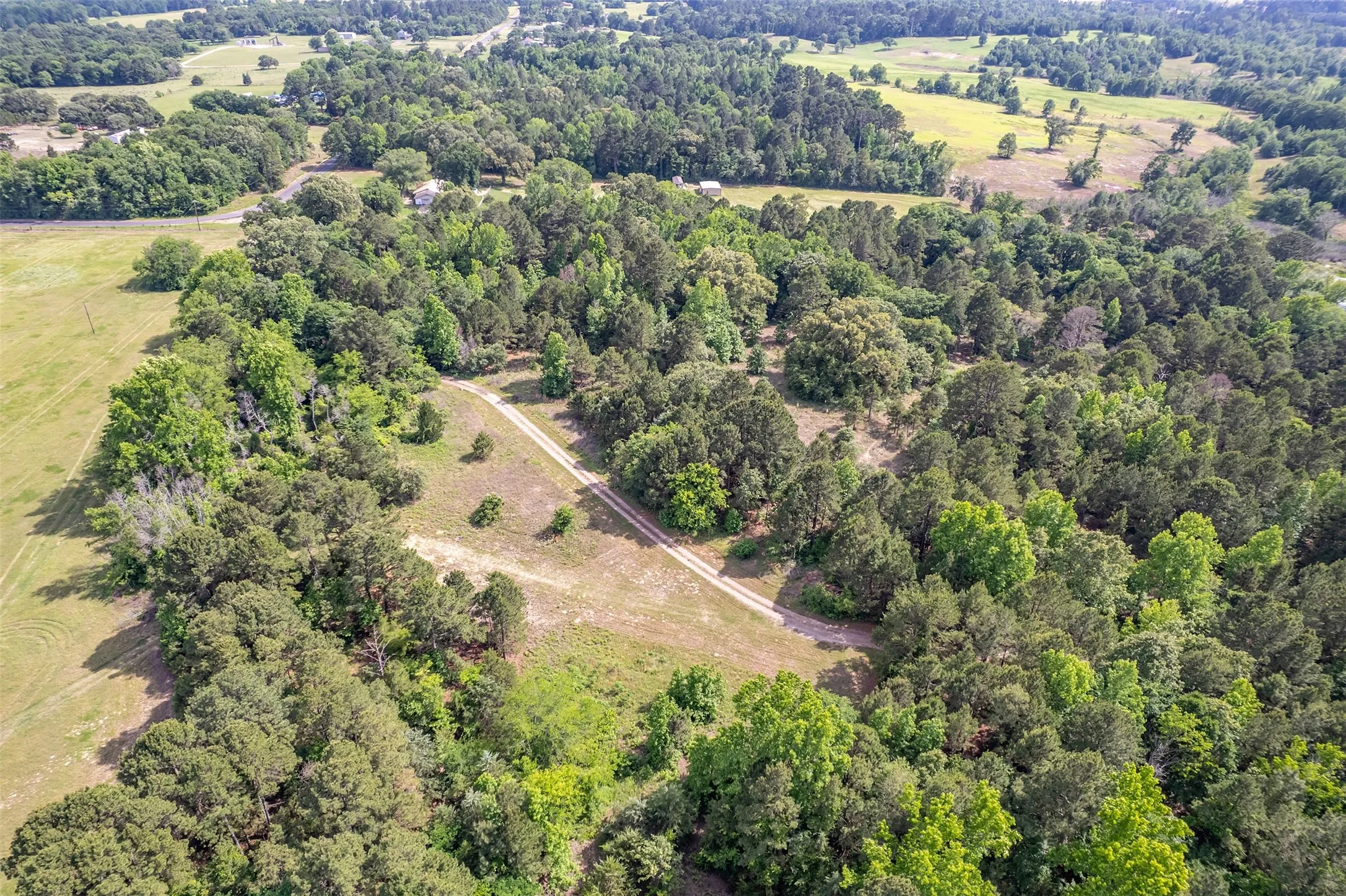 Improved Land For Sale in Smith County , 16437 COUNTY ROAD 3147, Tyler, Texas 75706, 0, 0, Garage spaces, 0 Sqft, built in 0, Price $1,176,483, mls#21176123, Real Estate Agent in Tyler, Homes For Sale in Smith county, Homes For Sale in Tyler, Realtor in Tyler Texas, Real Estate Brokerage Independent Realty Texas, Luminita Cordes Realtor