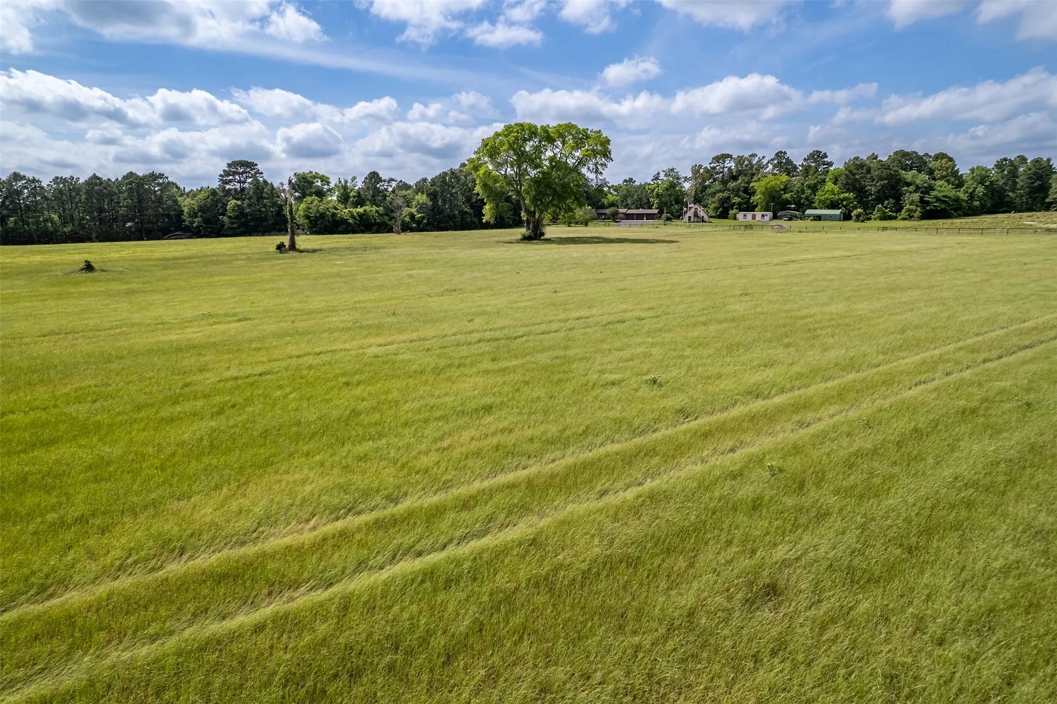 Improved Land For Sale in Smith County , 16437 COUNTY ROAD 3147, Tyler, Texas 75706, 0, 0, Garage spaces, 0 Sqft, built in 0, Price $1,176,483, mls#21176123, Real Estate Agent in Tyler, Homes For Sale in Smith county, Homes For Sale in Tyler, Realtor in Tyler Texas, Real Estate Brokerage Independent Realty Texas, Luminita Cordes Realtor