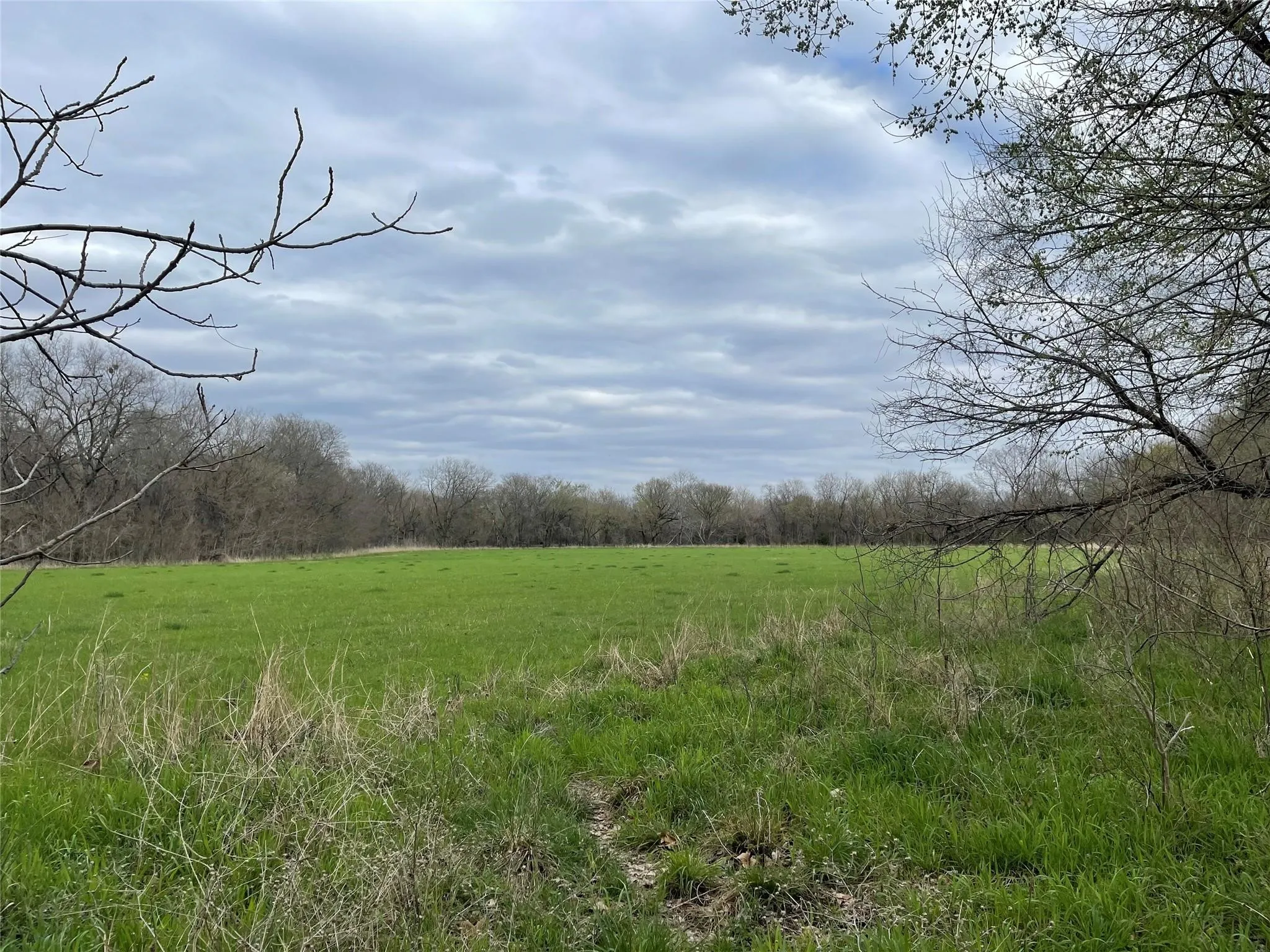 Unimproved Land For Sale in Grayson County , TBD Independence Springs, Sherman, Texas 75090, 0, 0, Garage spaces, 0 Sqft, built in 0, mls#21174737, Real Estate Agent in Sherman, Homes For Sale in Grayson county, Homes For Sale in Sherman, Realtor in Sherman Texas, Real Estate Brokerage Independent Realty Texas, Luminita Cordes Realtor