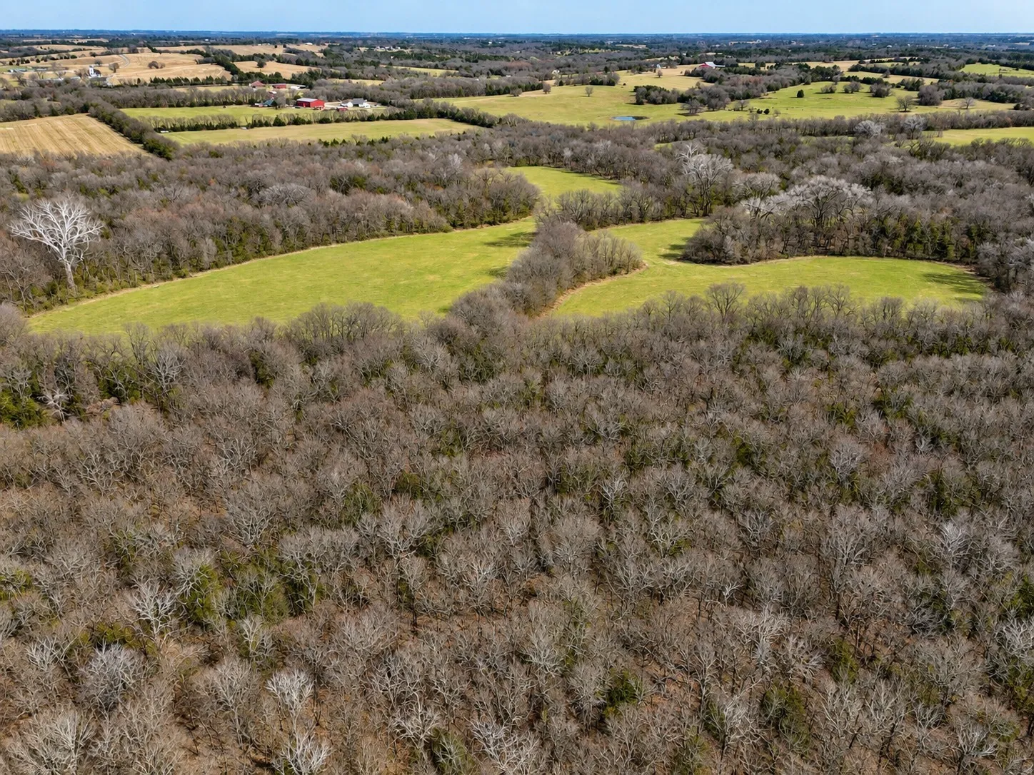 Unimproved Land For Sale in Grayson County , TBD Independence Springs, Sherman, Texas 75090, 0, 0, Garage spaces, 0 Sqft, built in 0, mls#21174737, Real Estate Agent in Sherman, Homes For Sale in Grayson county, Homes For Sale in Sherman, Realtor in Sherman Texas, Real Estate Brokerage Independent Realty Texas, Luminita Cordes Realtor