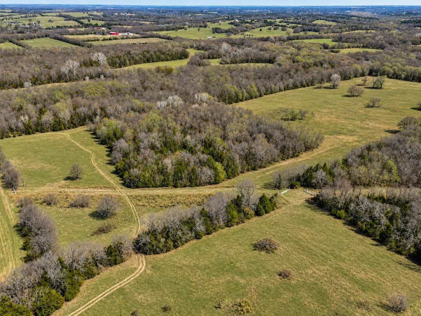 Unimproved Land For Sale in Grayson County , TBD Independence Springs, Sherman, Texas 75090, 0, 0, Garage spaces, 0 Sqft, built in 0, mls#21174737, Real Estate Agent in Sherman, Homes For Sale in Grayson county, Homes For Sale in Sherman, Realtor in Sherman Texas, Real Estate Brokerage Independent Realty Texas, Luminita Cordes Realtor