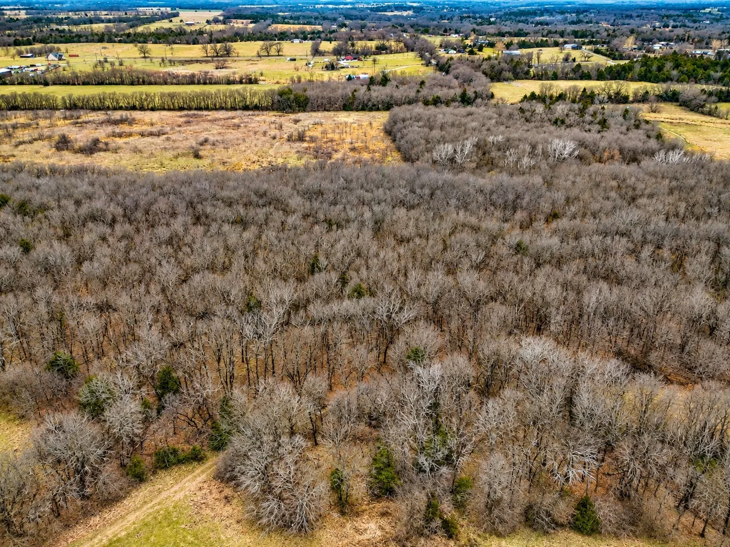 Unimproved Land For Sale in Grayson County , TBD Independence Springs, Sherman, Texas 75090, 0, 0, Garage spaces, 0 Sqft, built in 0, mls#21174737, Real Estate Agent in Sherman, Homes For Sale in Grayson county, Homes For Sale in Sherman, Realtor in Sherman Texas, Real Estate Brokerage Independent Realty Texas, Luminita Cordes Realtor