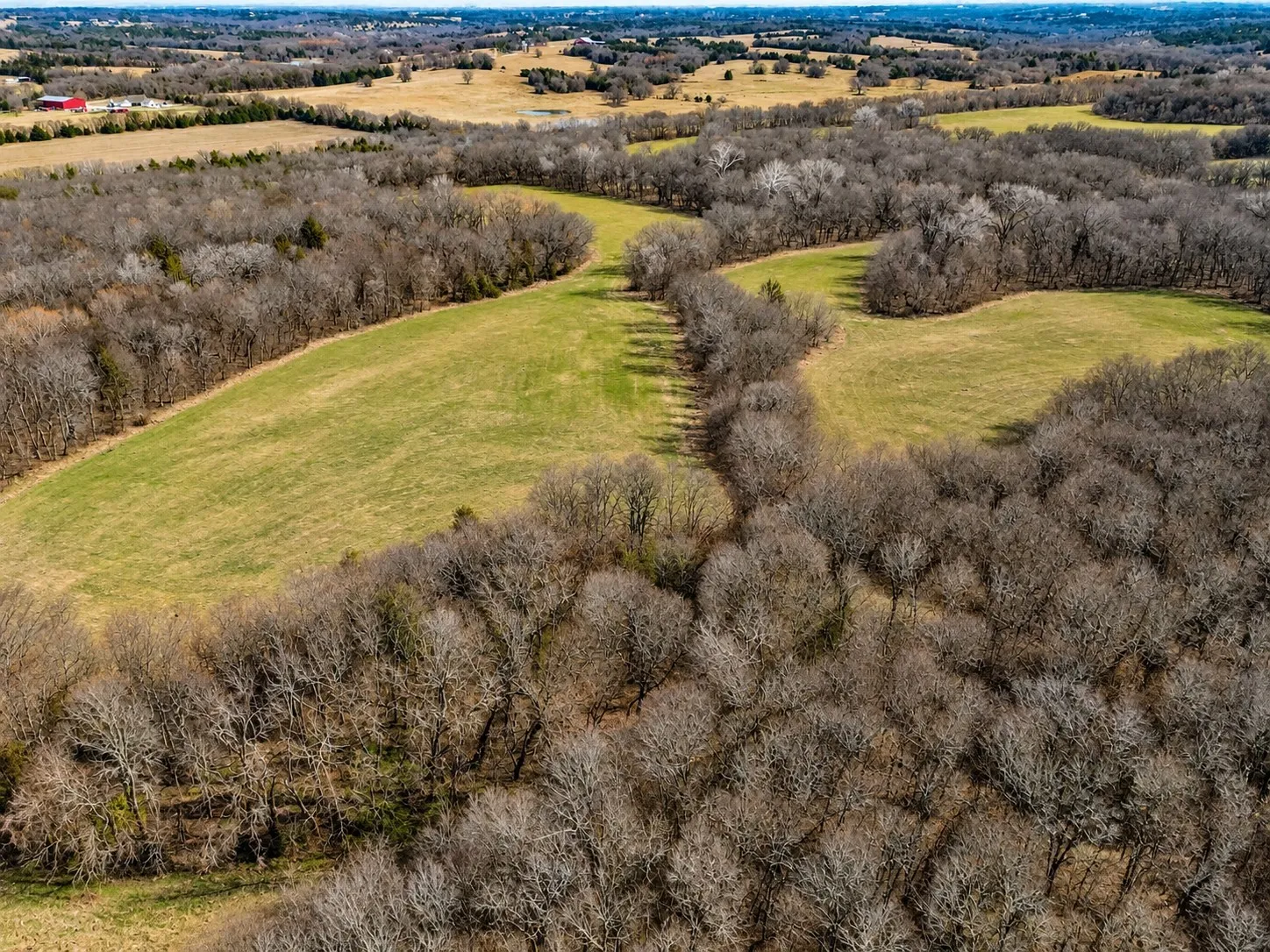 Unimproved Land For Sale in Grayson County , TBD Independence Springs, Sherman, Texas 75090, 0, 0, Garage spaces, 0 Sqft, built in 0, mls#21174737, Real Estate Agent in Sherman, Homes For Sale in Grayson county, Homes For Sale in Sherman, Realtor in Sherman Texas, Real Estate Brokerage Independent Realty Texas, Luminita Cordes Realtor