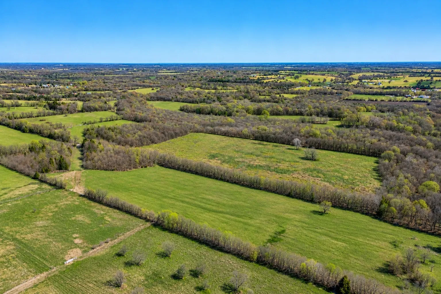 Unimproved Land For Sale in Grayson County , TBD Independence Springs, Sherman, Texas 75090, 0, 0, Garage spaces, 0 Sqft, built in 0, mls#21174737, Real Estate Agent in Sherman, Homes For Sale in Grayson county, Homes For Sale in Sherman, Realtor in Sherman Texas, Real Estate Brokerage Independent Realty Texas, Luminita Cordes Realtor