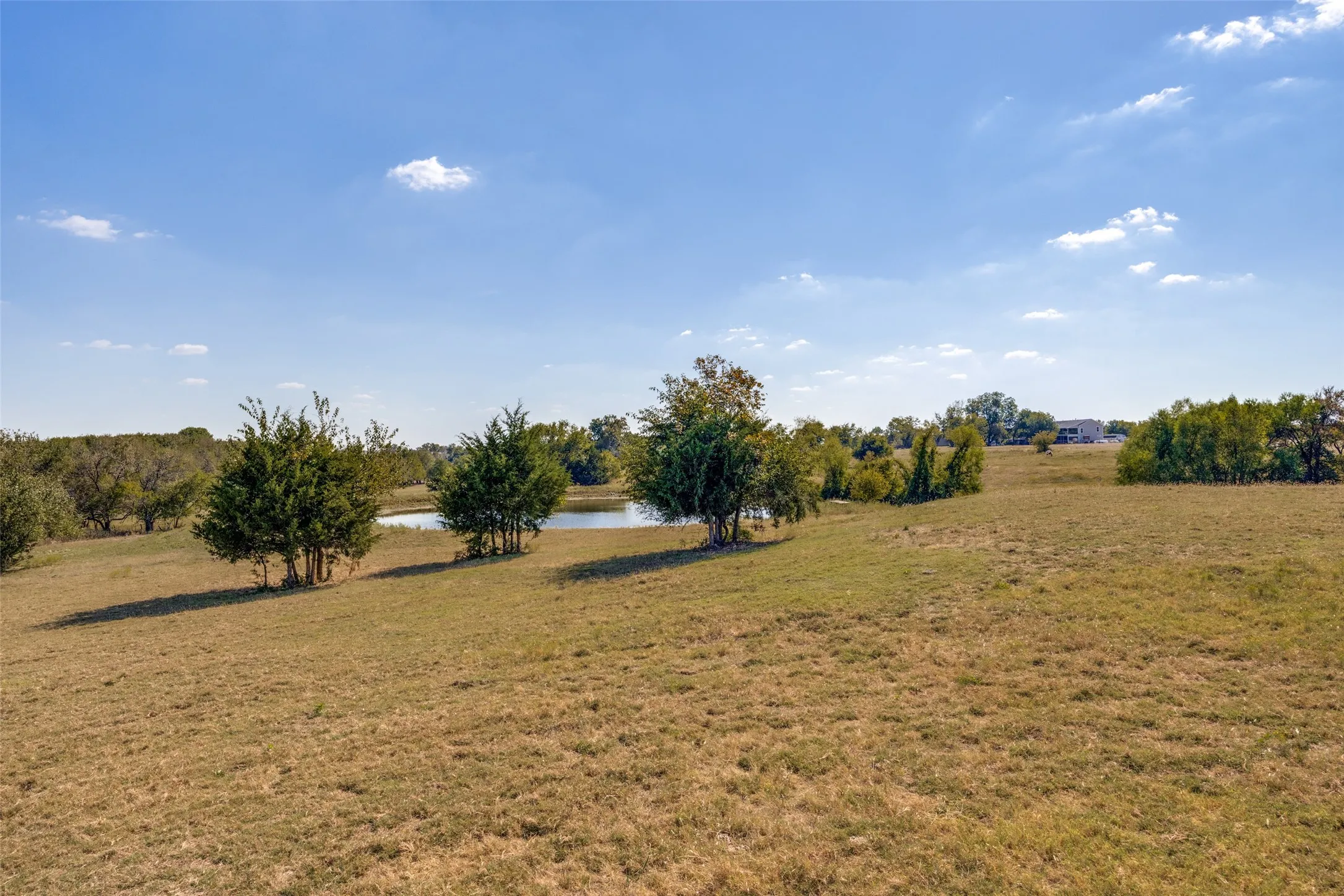 Single Family Residence For Sale in Collin County , 17019 County Road 706 Tract-1, Leonard, Texas 75452, 5 Bedroom, 7 Bathroom, 4 Garage spaces, 5,200 Sqft, built in 2024, mls#21176267, Real Estate Agent in Leonard, Homes For Sale in Collin county, Homes For Sale in Leonard, Realtor in Leonard Texas, Real Estate Brokerage Independent Realty Texas, Luminita Cordes Realtor