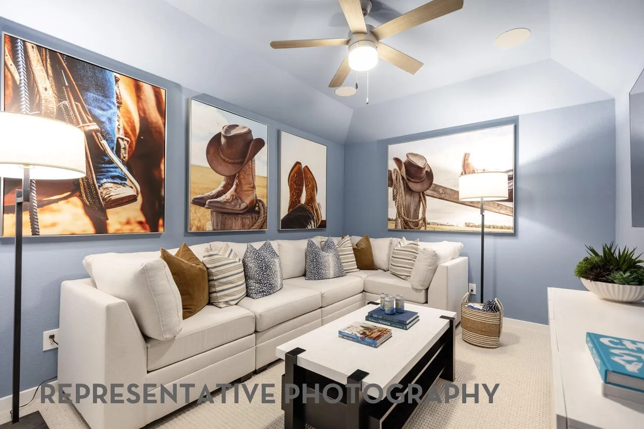 Entertainment Room