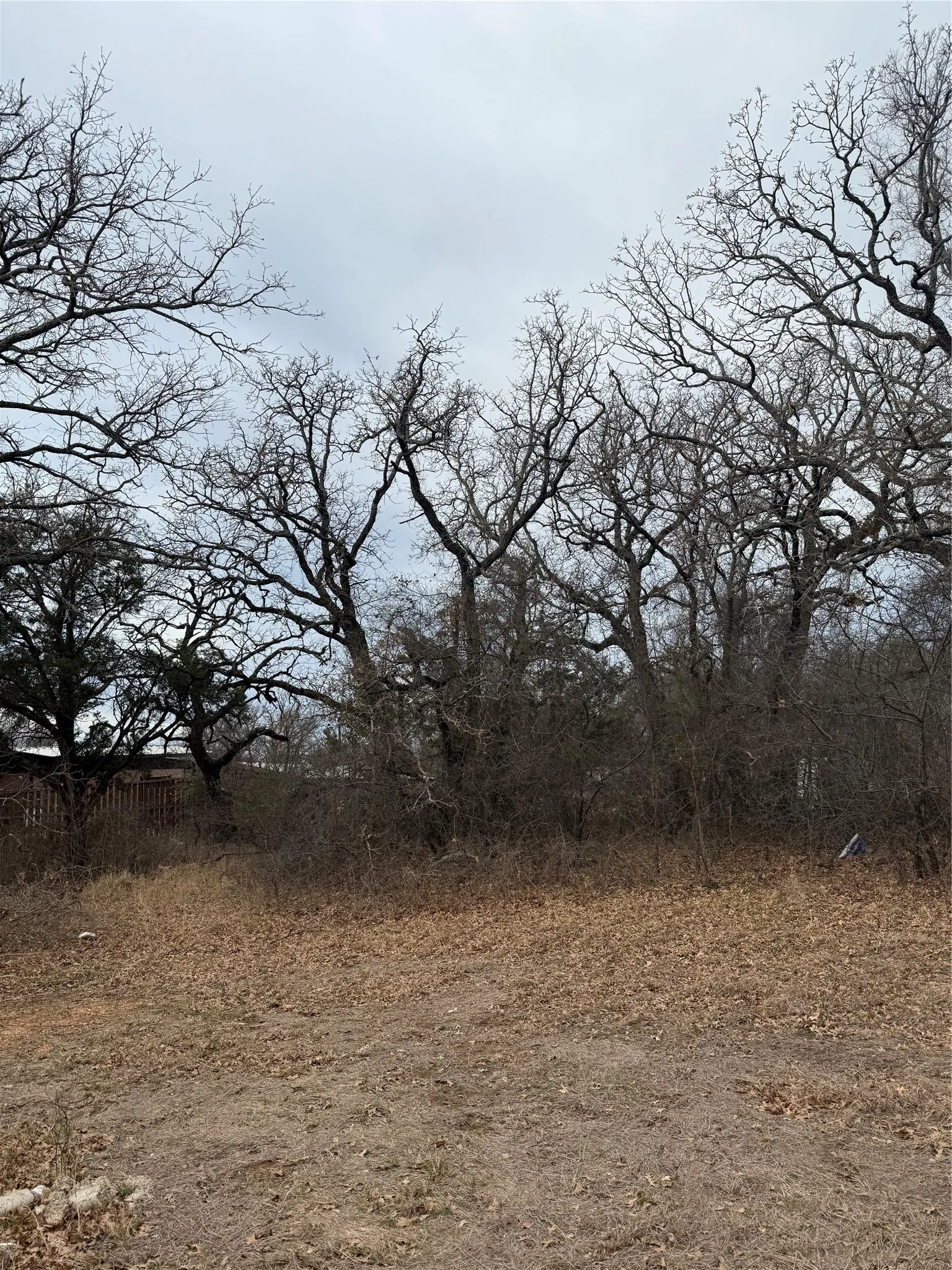 Unimproved Land For Sale in Hood County , 5905 Arrowhead Drive, Granbury, Texas 76048, 0, 0, Garage spaces, 0 Sqft, built in 0, mls#21176406, Real Estate Agent in Granbury, Homes For Sale in Hood county, Homes For Sale in Granbury, Realtor in Granbury Texas, Real Estate Brokerage Independent Realty Texas, Luminita Cordes Realtor