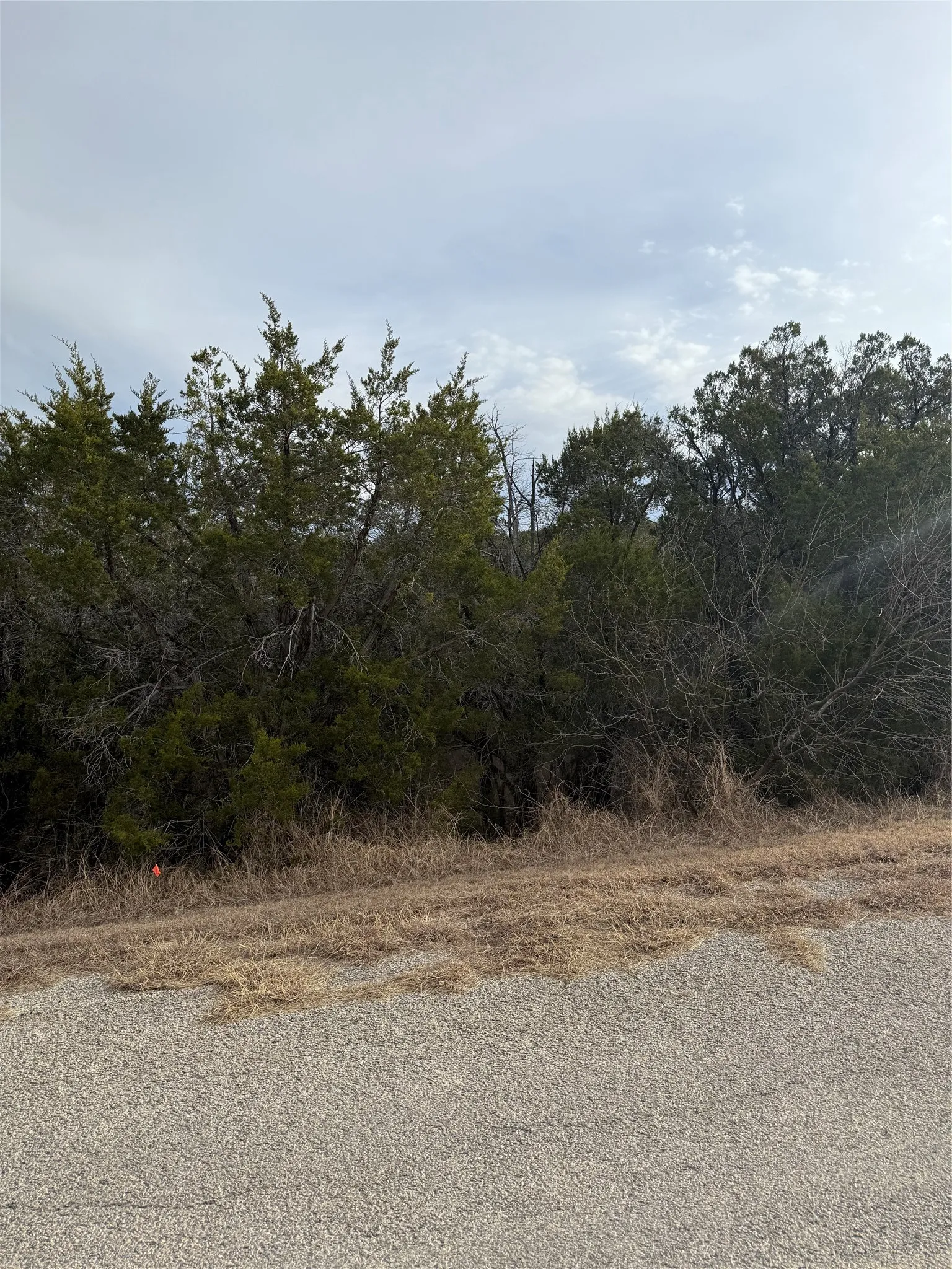 Unimproved Land For Sale in Hood County , 3111 Canadian River Trail, Granbury, Texas 76048, 0, 0, Garage spaces, 0 Sqft, built in 0, Price $8,000, mls#21176425, Real Estate Agent in Granbury, Homes For Sale in Hood county, Homes For Sale in Granbury, Realtor in Granbury Texas, Real Estate Brokerage Independent Realty Texas, Luminita Cordes Realtor
