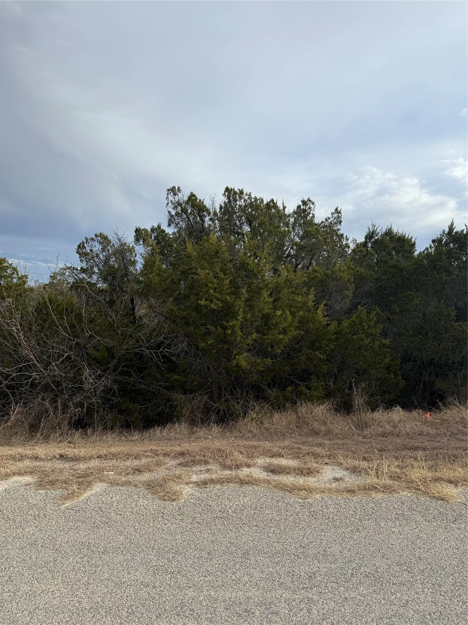 Unimproved Land For Sale in Hood County , 3111 Canadian River Trail, Granbury, Texas 76048, 0, 0, Garage spaces, 0 Sqft, built in 0, Price $8,000, mls#21176425, Real Estate Agent in Granbury, Homes For Sale in Hood county, Homes For Sale in Granbury, Realtor in Granbury Texas, Real Estate Brokerage Independent Realty Texas, Luminita Cordes Realtor