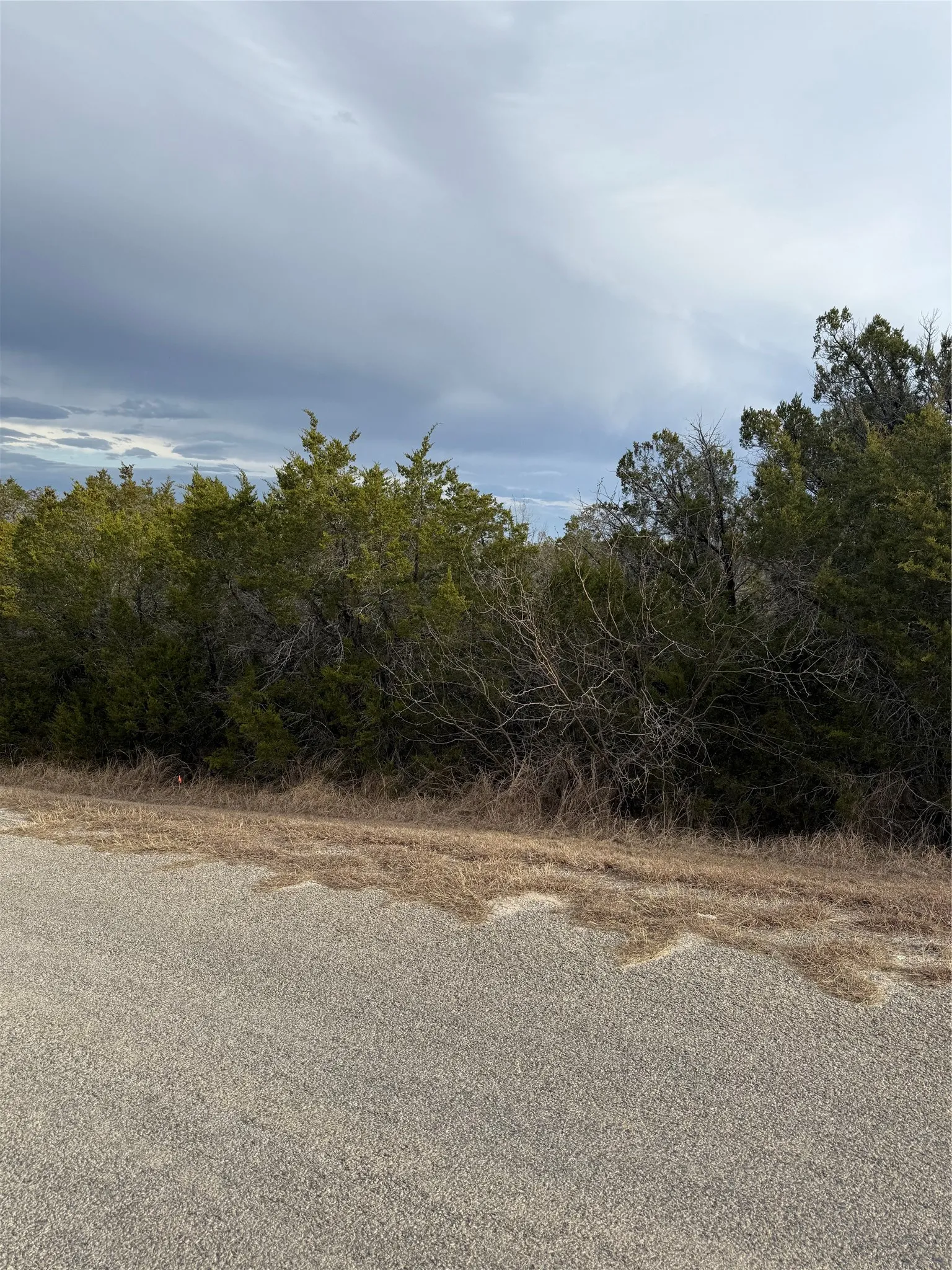 Unimproved Land For Sale in Hood County , 3111 Canadian River Trail, Granbury, Texas 76048, 0, 0, Garage spaces, 0 Sqft, built in 0, Price $8,000, mls#21176425, Real Estate Agent in Granbury, Homes For Sale in Hood county, Homes For Sale in Granbury, Realtor in Granbury Texas, Real Estate Brokerage Independent Realty Texas, Luminita Cordes Realtor