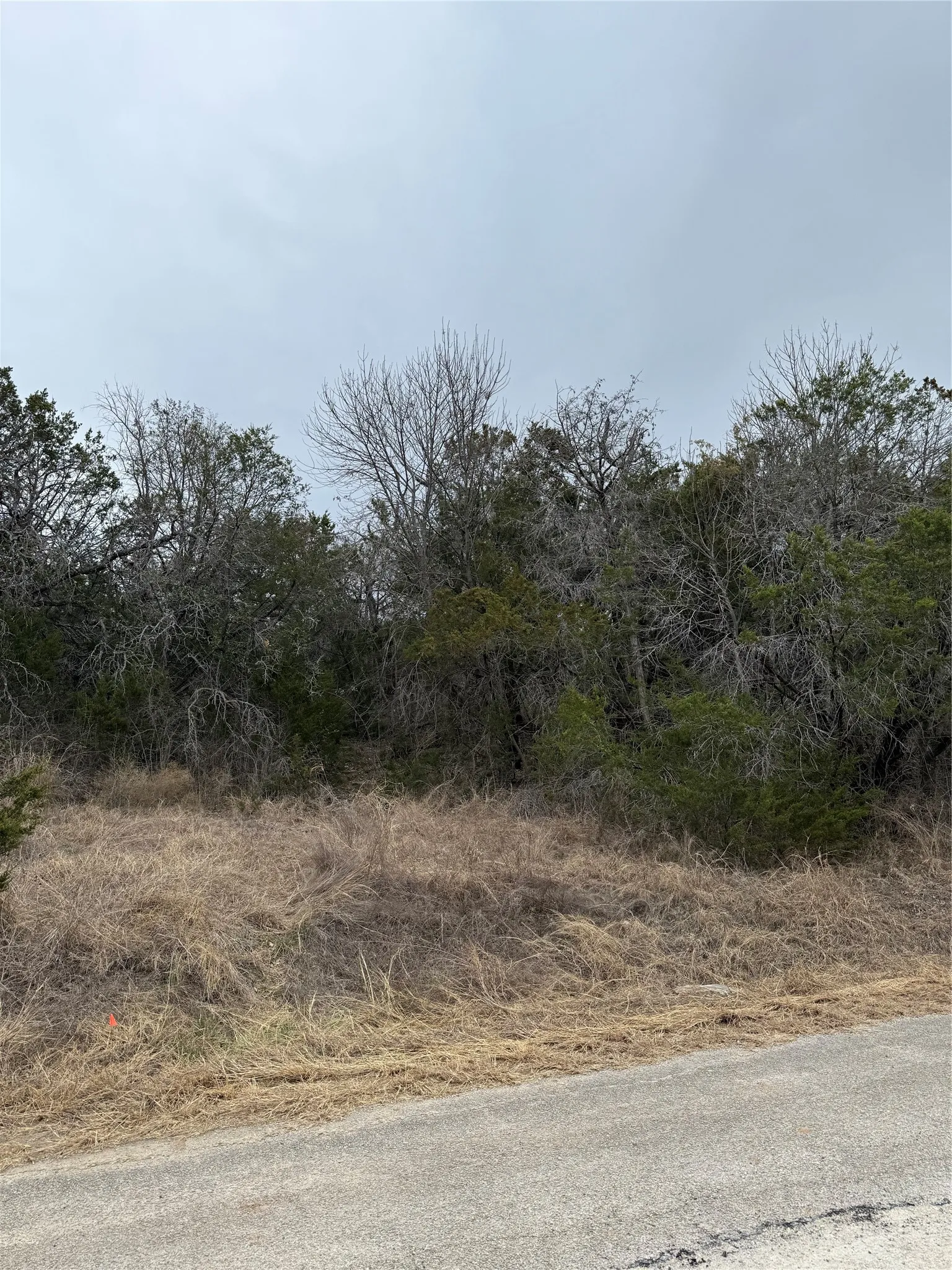 Unimproved Land For Sale in Hood County , 4611 Evening View Drive, Granbury, Texas 76048, 0, 0, Garage spaces, 0 Sqft, built in 0, mls#21176479, Real Estate Agent in Granbury, Homes For Sale in Hood county, Homes For Sale in Granbury, Realtor in Granbury Texas, Real Estate Brokerage Independent Realty Texas, Luminita Cordes Realtor