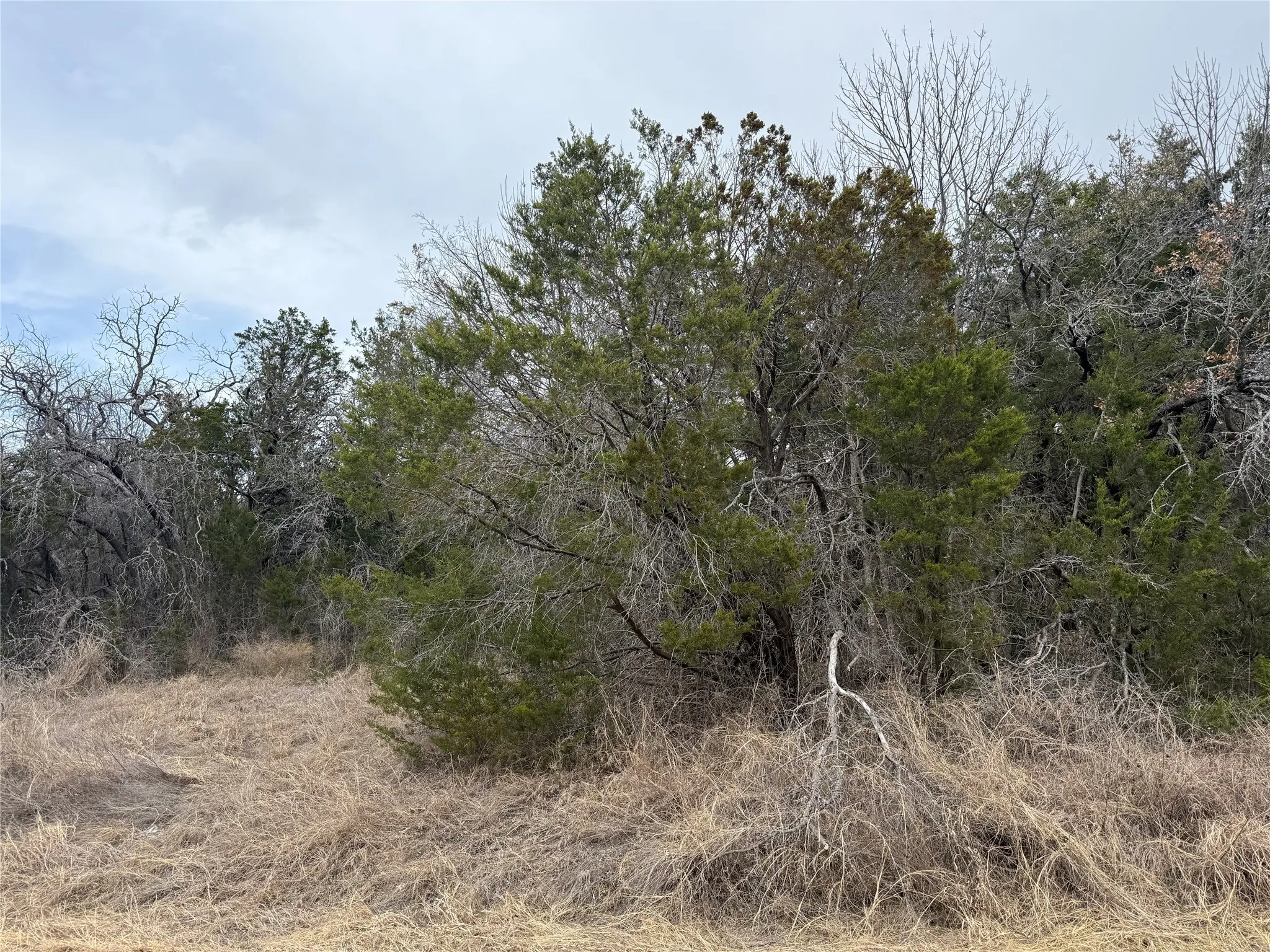 Unimproved Land For Sale in Hood County , 4611 Evening View Drive, Granbury, Texas 76048, 0, 0, Garage spaces, 0 Sqft, built in 0, mls#21176479, Real Estate Agent in Granbury, Homes For Sale in Hood county, Homes For Sale in Granbury, Realtor in Granbury Texas, Real Estate Brokerage Independent Realty Texas, Luminita Cordes Realtor