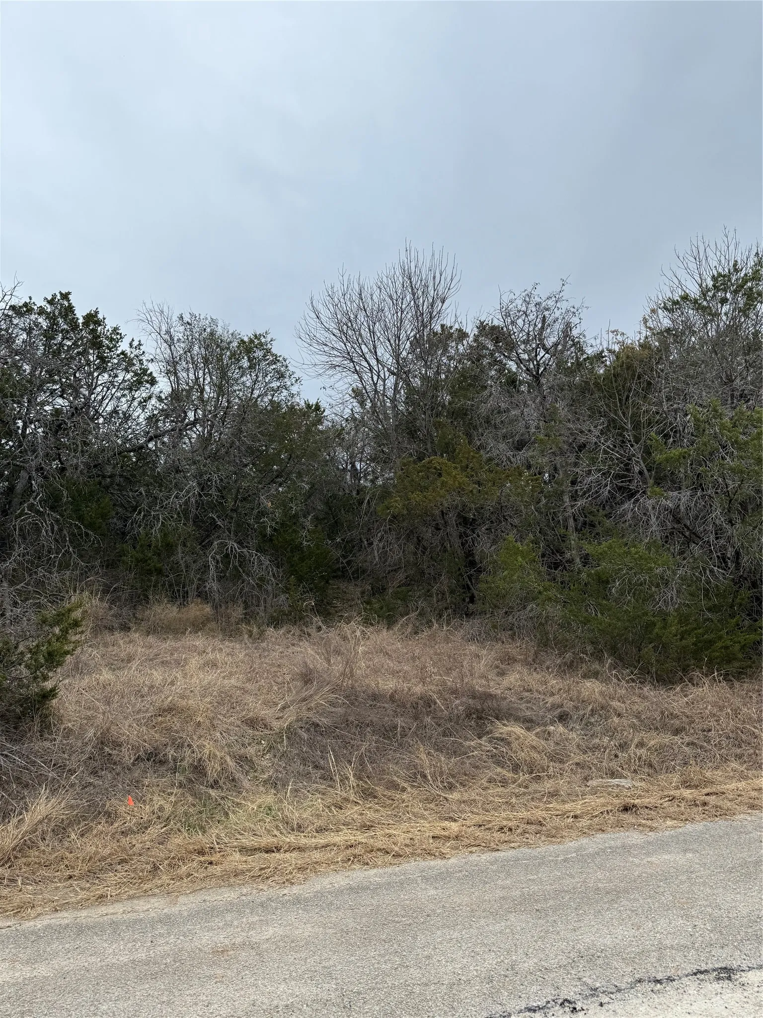 Unimproved Land For Sale in Hood County , 4611 Evening View Drive, Granbury, Texas 76048, 0, 0, Garage spaces, 0 Sqft, built in 0, mls#21176479, Real Estate Agent in Granbury, Homes For Sale in Hood county, Homes For Sale in Granbury, Realtor in Granbury Texas, Real Estate Brokerage Independent Realty Texas, Luminita Cordes Realtor