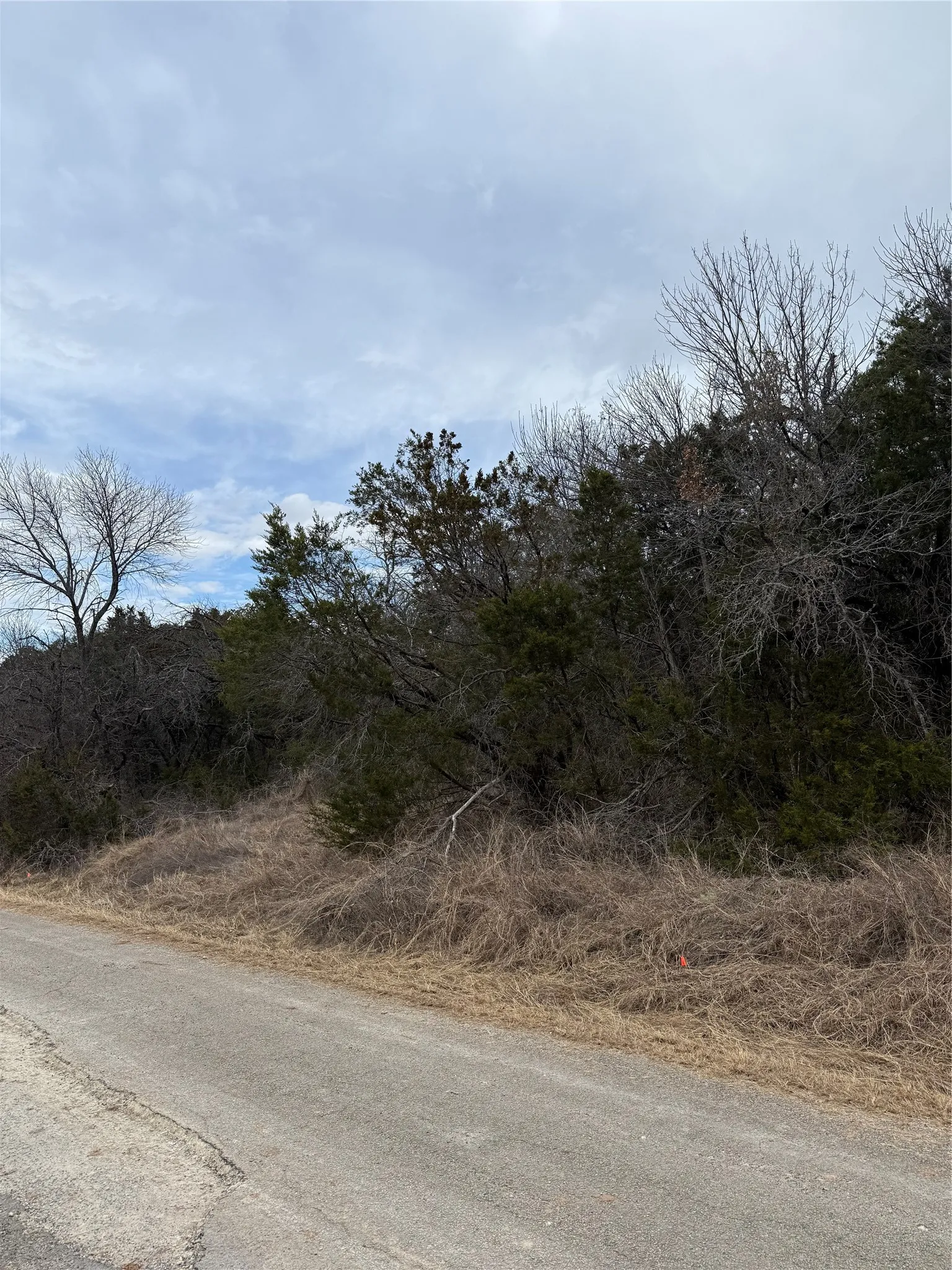 Unimproved Land For Sale in Hood County , 4611 Evening View Drive, Granbury, Texas 76048, 0, 0, Garage spaces, 0 Sqft, built in 0, mls#21176479, Real Estate Agent in Granbury, Homes For Sale in Hood county, Homes For Sale in Granbury, Realtor in Granbury Texas, Real Estate Brokerage Independent Realty Texas, Luminita Cordes Realtor