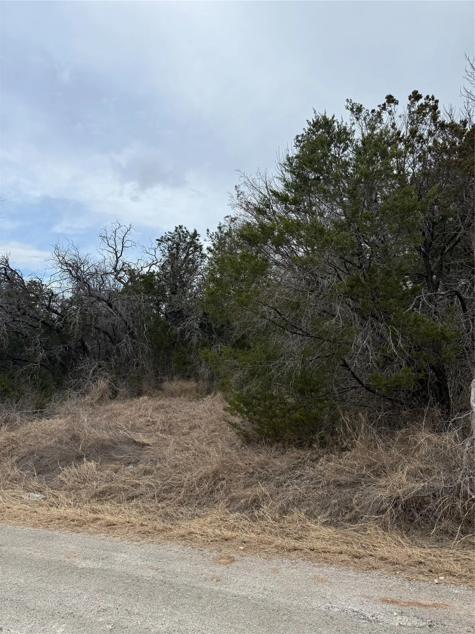 Unimproved Land For Sale in Hood County , 4611 Evening View Drive, Granbury, Texas 76048, 0, 0, Garage spaces, 0 Sqft, built in 0, mls#21176479, Real Estate Agent in Granbury, Homes For Sale in Hood county, Homes For Sale in Granbury, Realtor in Granbury Texas, Real Estate Brokerage Independent Realty Texas, Luminita Cordes Realtor