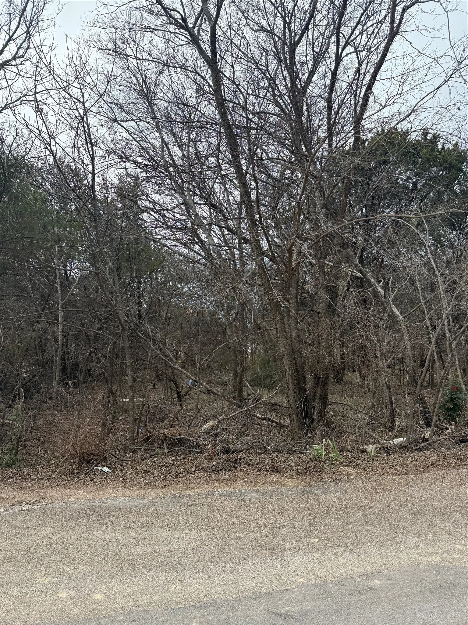 Unimproved Land For Sale in Hood County , 2102 Cactus Alley, Granbury, Texas 76048, 0, 0, Garage spaces, 0 Sqft, built in 0, mls#21176494, Real Estate Agent in Granbury, Homes For Sale in Hood county, Homes For Sale in Granbury, Realtor in Granbury Texas, Real Estate Brokerage Independent Realty Texas, Luminita Cordes Realtor