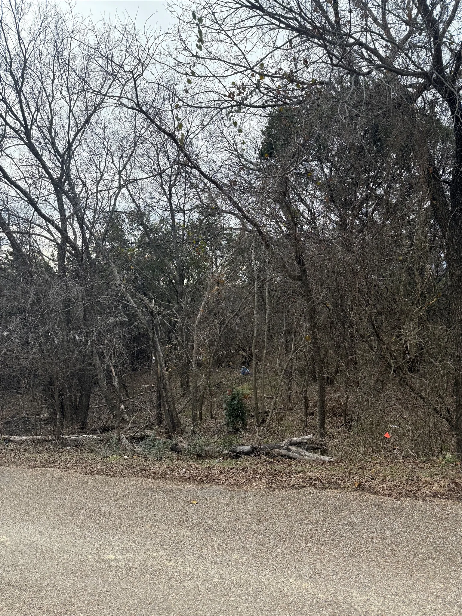 Unimproved Land For Sale in Hood County , 2102 Cactus Alley, Granbury, Texas 76048, 0, 0, Garage spaces, 0 Sqft, built in 0, mls#21176494, Real Estate Agent in Granbury, Homes For Sale in Hood county, Homes For Sale in Granbury, Realtor in Granbury Texas, Real Estate Brokerage Independent Realty Texas, Luminita Cordes Realtor
