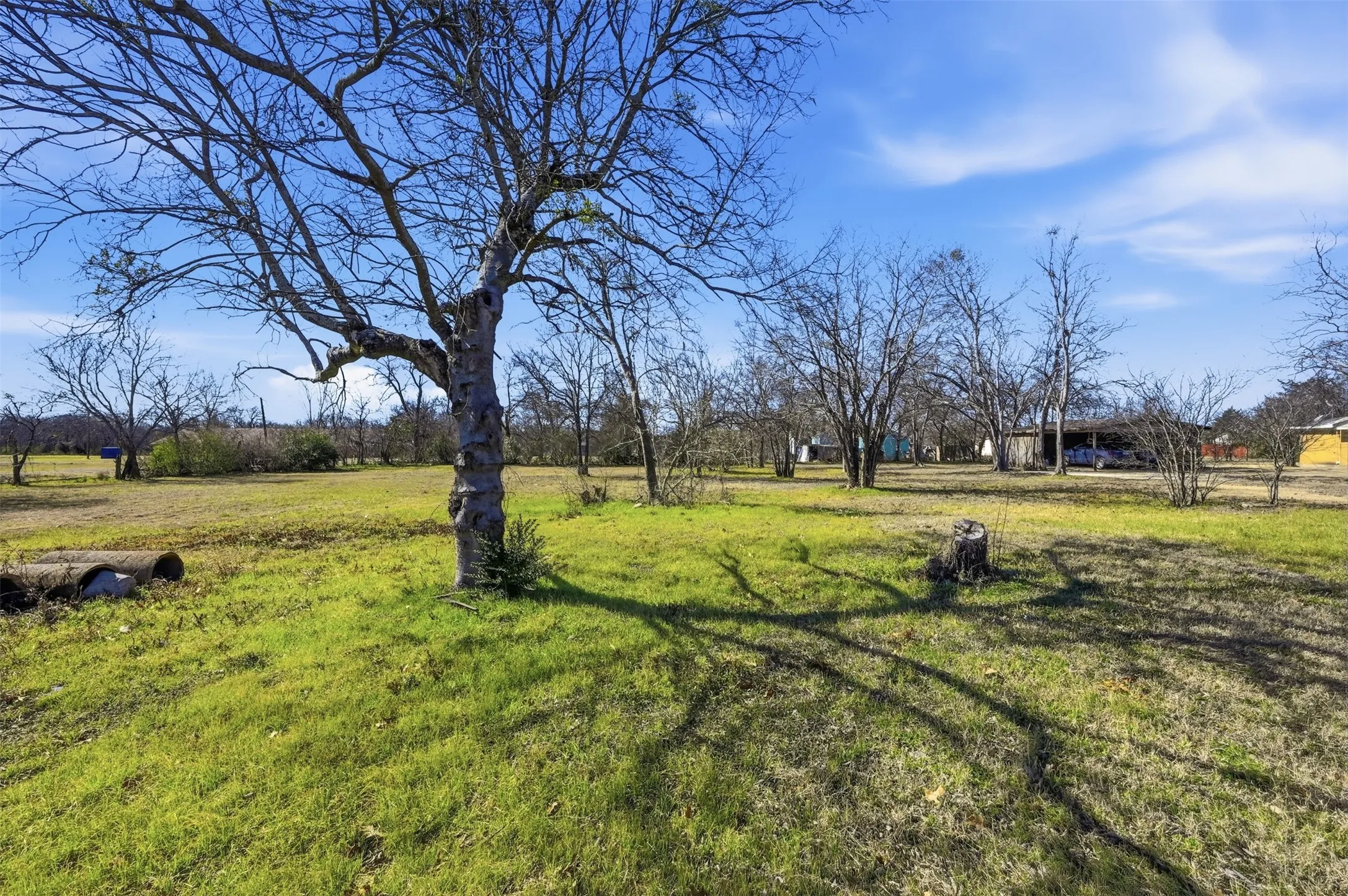 Unimproved Land For Sale in Ellis County , 0000 Mckinney Street, Ennis, Texas 75119, 0, 0, Garage spaces, 0 Sqft, built in 0, mls#21175742, Real Estate Agent in Ennis, Homes For Sale in Ellis county, Homes For Sale in Ennis, Realtor in Ennis Texas, Real Estate Brokerage Independent Realty Texas, Luminita Cordes Realtor