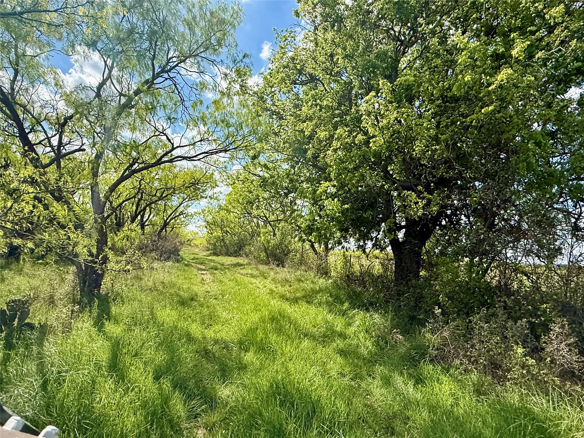 Improved Land For Sale in Taylor County , 258 County Road 206, Ovalo, Texas 79541, 0, 0, Garage spaces, 0 Sqft, built in 2007, mls#21176747, Real Estate Agent in Ovalo, Homes For Sale in Taylor county, Homes For Sale in Ovalo, Realtor in Ovalo Texas, Real Estate Brokerage Independent Realty Texas, Luminita Cordes Realtor