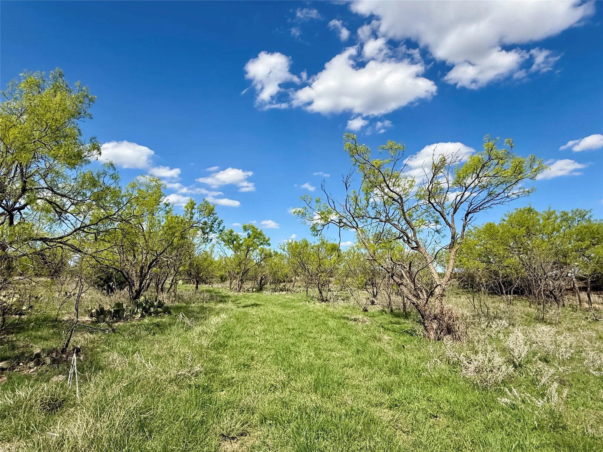 Improved Land For Sale in Taylor County , 258 County Road 206, Ovalo, Texas 79541, 0, 0, Garage spaces, 0 Sqft, built in 2007, mls#21176747, Real Estate Agent in Ovalo, Homes For Sale in Taylor county, Homes For Sale in Ovalo, Realtor in Ovalo Texas, Real Estate Brokerage Independent Realty Texas, Luminita Cordes Realtor