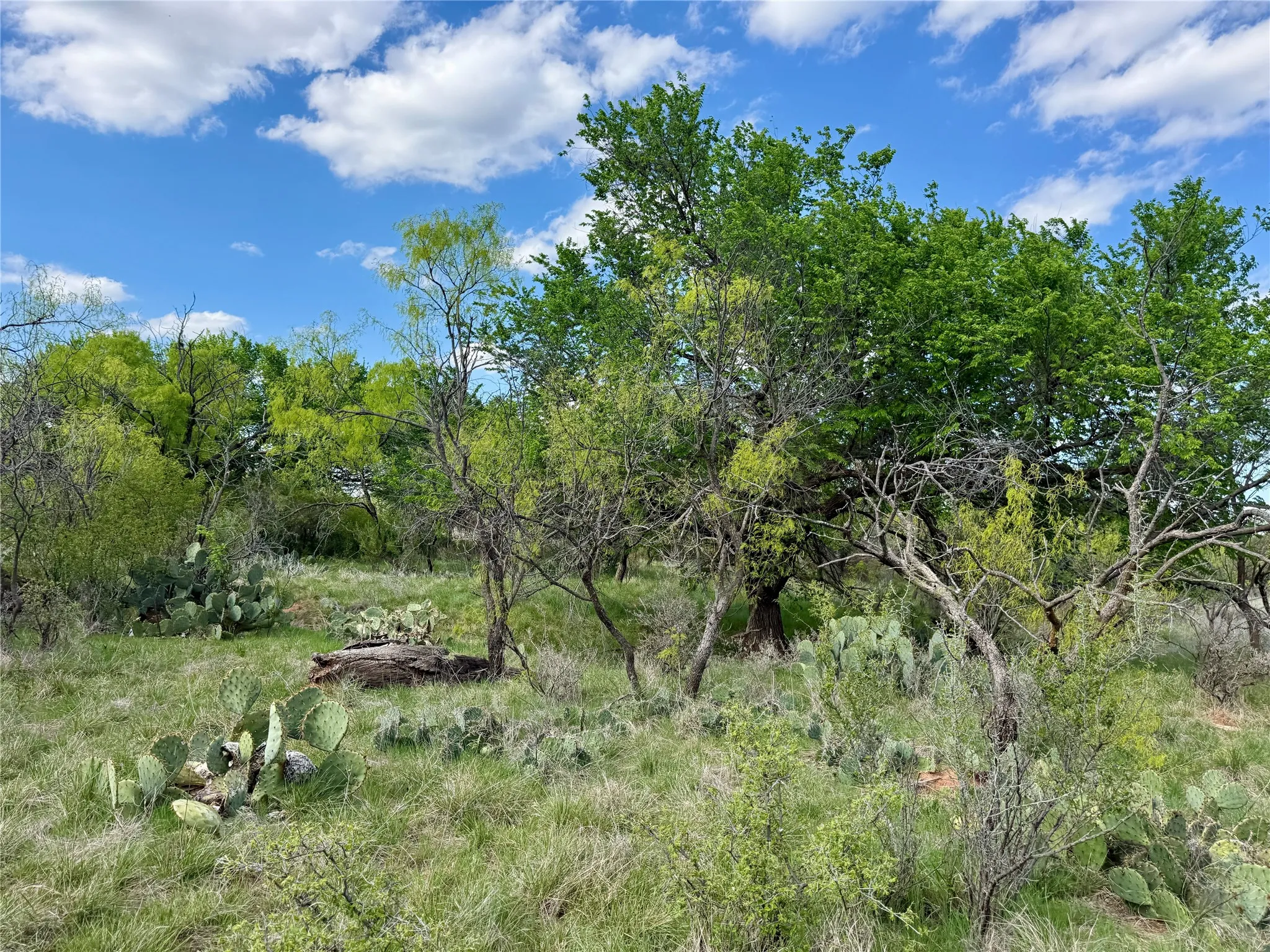 Improved Land For Sale in Taylor County , 258 County Road 206, Ovalo, Texas 79541, 0, 0, Garage spaces, 0 Sqft, built in 2007, mls#21176747, Real Estate Agent in Ovalo, Homes For Sale in Taylor county, Homes For Sale in Ovalo, Realtor in Ovalo Texas, Real Estate Brokerage Independent Realty Texas, Luminita Cordes Realtor