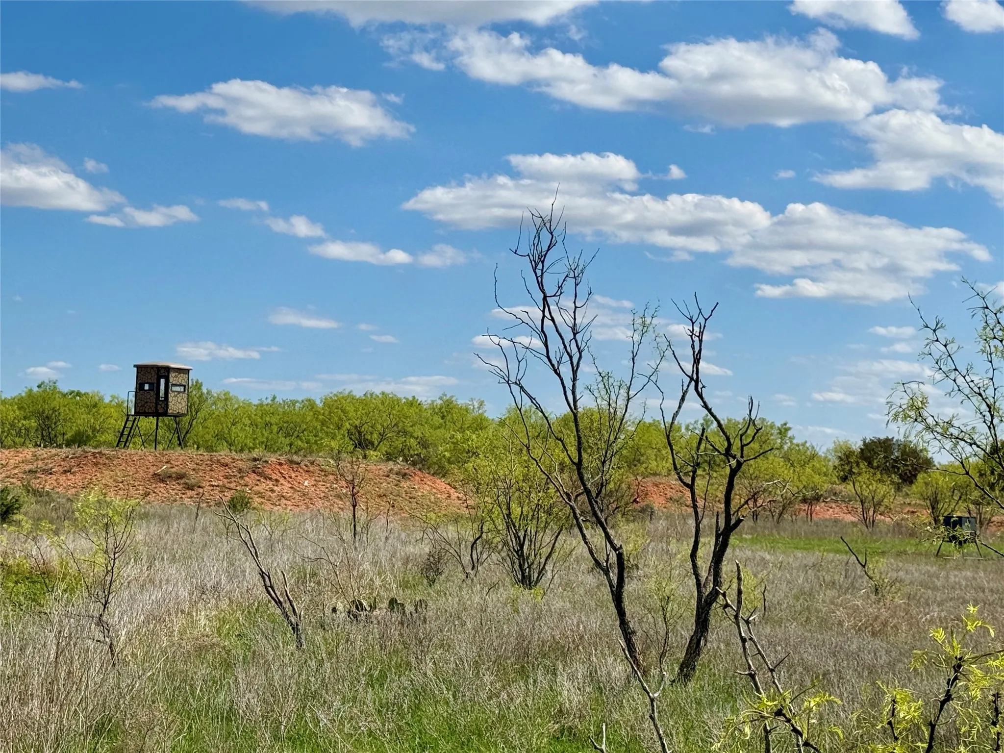 Improved Land For Sale in Taylor County , 258 County Road 206, Ovalo, Texas 79541, 0, 0, Garage spaces, 0 Sqft, built in 2007, mls#21176747, Real Estate Agent in Ovalo, Homes For Sale in Taylor county, Homes For Sale in Ovalo, Realtor in Ovalo Texas, Real Estate Brokerage Independent Realty Texas, Luminita Cordes Realtor