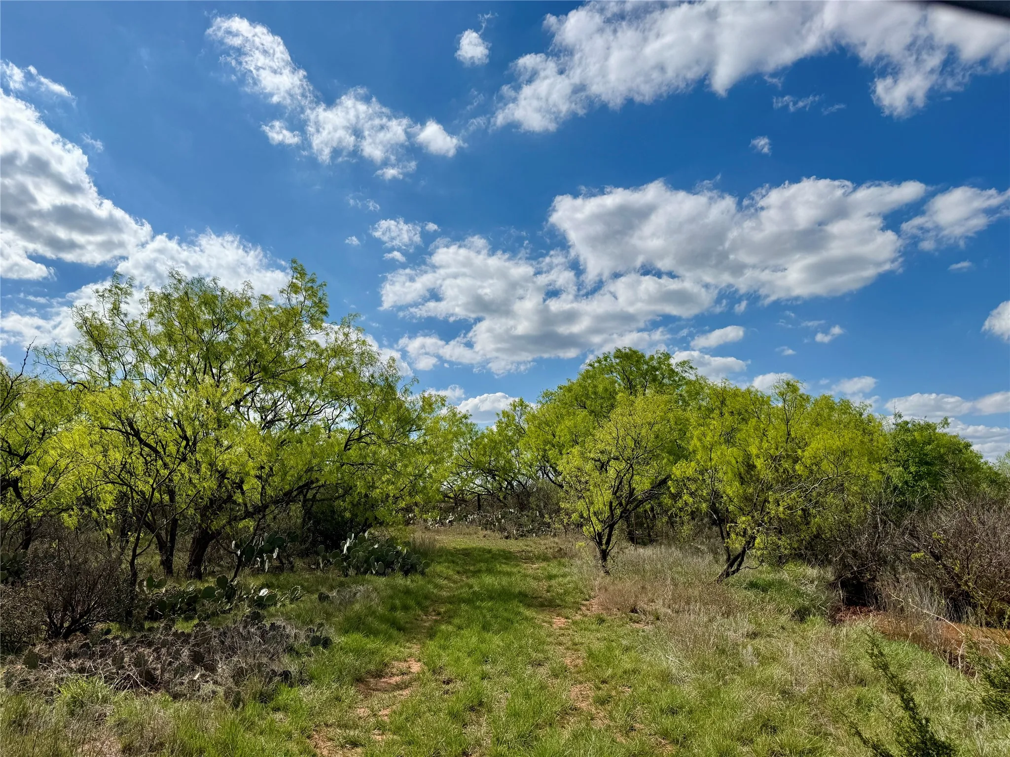 Improved Land For Sale in Taylor County , 258 County Road 206, Ovalo, Texas 79541, 0, 0, Garage spaces, 0 Sqft, built in 2007, mls#21176747, Real Estate Agent in Ovalo, Homes For Sale in Taylor county, Homes For Sale in Ovalo, Realtor in Ovalo Texas, Real Estate Brokerage Independent Realty Texas, Luminita Cordes Realtor