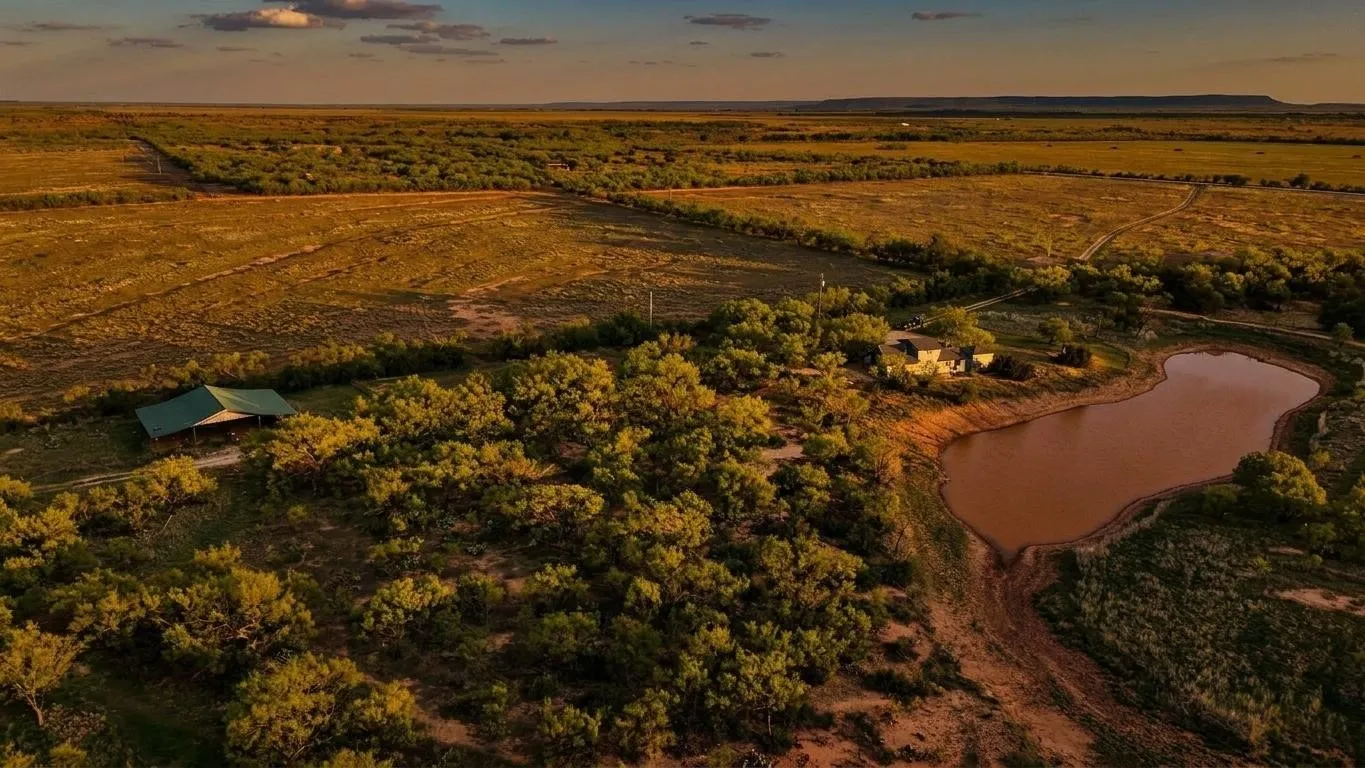 Improved Land For Sale in Taylor County , 258 County Road 206, Ovalo, Texas 79541, 0, 0, Garage spaces, 0 Sqft, built in 2007, mls#21176747, Real Estate Agent in Ovalo, Homes For Sale in Taylor county, Homes For Sale in Ovalo, Realtor in Ovalo Texas, Real Estate Brokerage Independent Realty Texas, Luminita Cordes Realtor