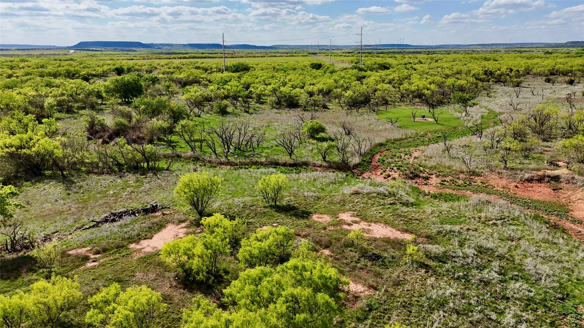 Improved Land For Sale in Taylor County , 258 County Road 206, Ovalo, Texas 79541, 0, 0, Garage spaces, 0 Sqft, built in 2007, mls#21176747, Real Estate Agent in Ovalo, Homes For Sale in Taylor county, Homes For Sale in Ovalo, Realtor in Ovalo Texas, Real Estate Brokerage Independent Realty Texas, Luminita Cordes Realtor