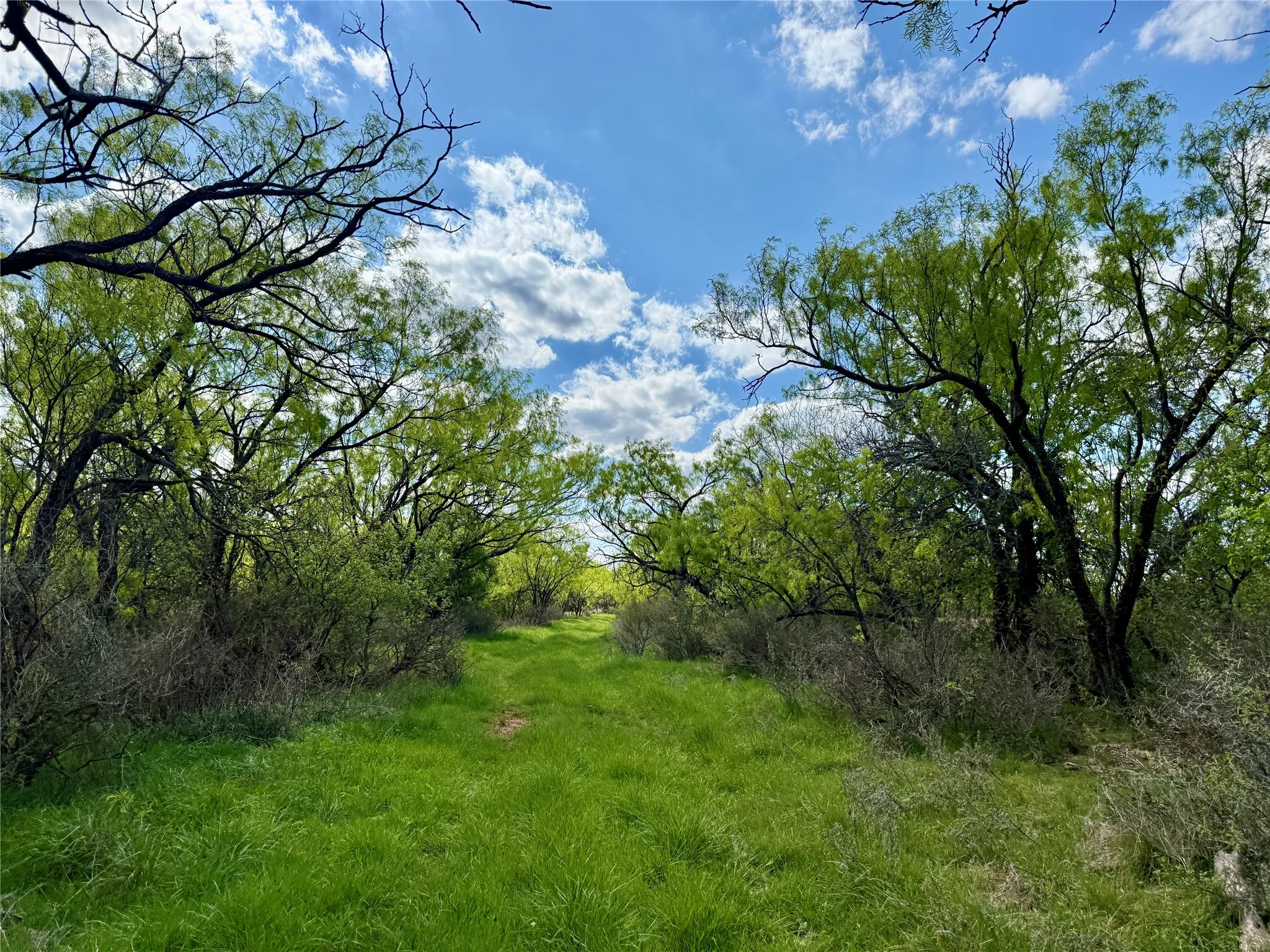 Improved Land For Sale in Taylor County , 258 County Road 206, Ovalo, Texas 79541, 0, 0, Garage spaces, 0 Sqft, built in 2007, mls#21176747, Real Estate Agent in Ovalo, Homes For Sale in Taylor county, Homes For Sale in Ovalo, Realtor in Ovalo Texas, Real Estate Brokerage Independent Realty Texas, Luminita Cordes Realtor