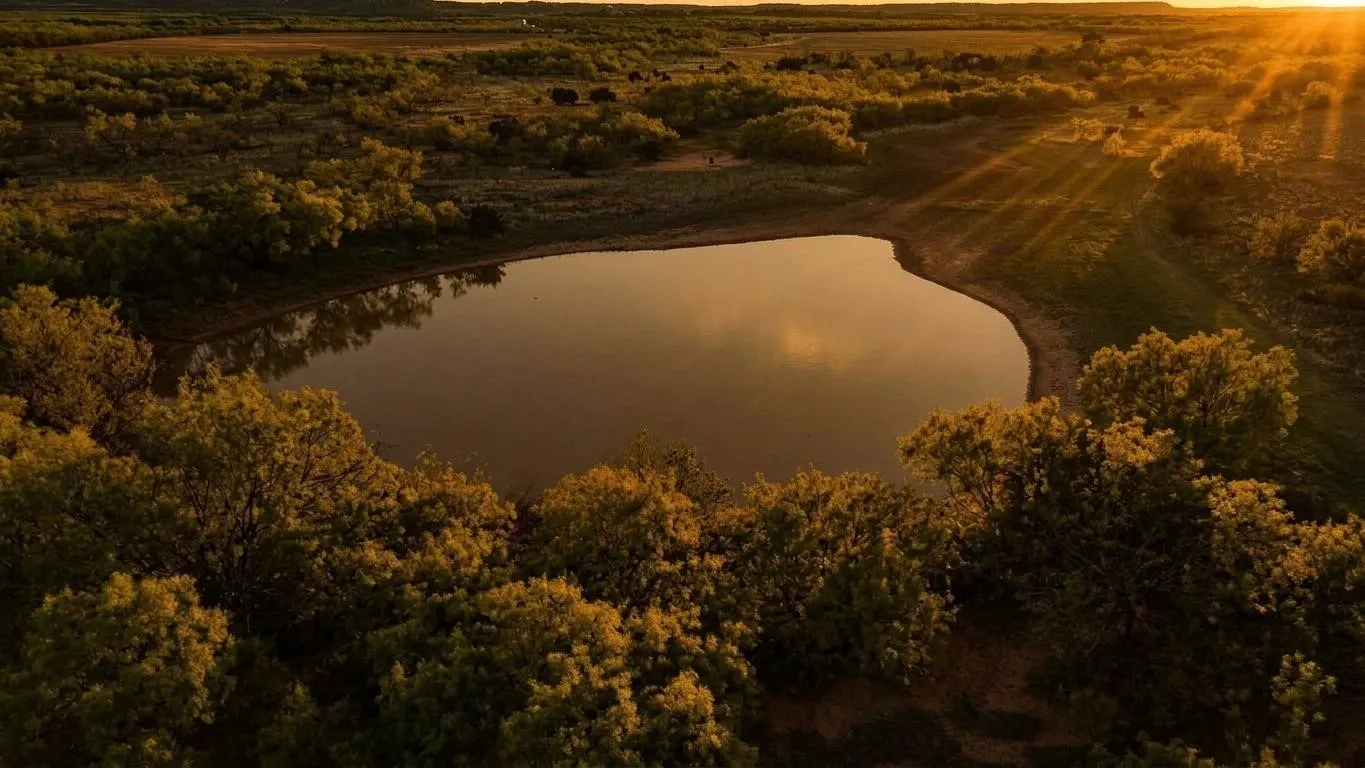 Improved Land For Sale in Taylor County , 258 County Road 206, Ovalo, Texas 79541, 0, 0, Garage spaces, 0 Sqft, built in 2007, mls#21176747, Real Estate Agent in Ovalo, Homes For Sale in Taylor county, Homes For Sale in Ovalo, Realtor in Ovalo Texas, Real Estate Brokerage Independent Realty Texas, Luminita Cordes Realtor