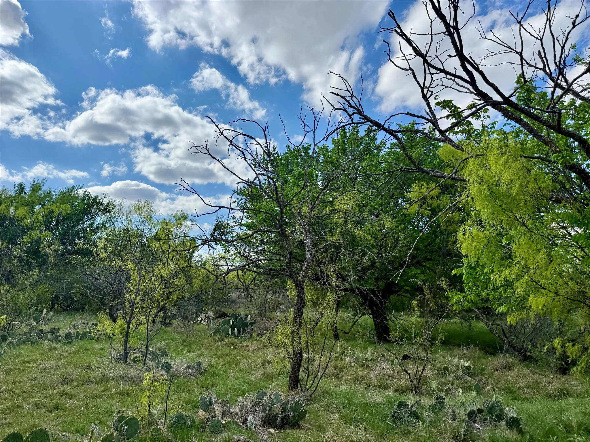 Improved Land For Sale in Taylor County , 258 County Road 206, Ovalo, Texas 79541, 0, 0, Garage spaces, 0 Sqft, built in 2007, mls#21176747, Real Estate Agent in Ovalo, Homes For Sale in Taylor county, Homes For Sale in Ovalo, Realtor in Ovalo Texas, Real Estate Brokerage Independent Realty Texas, Luminita Cordes Realtor