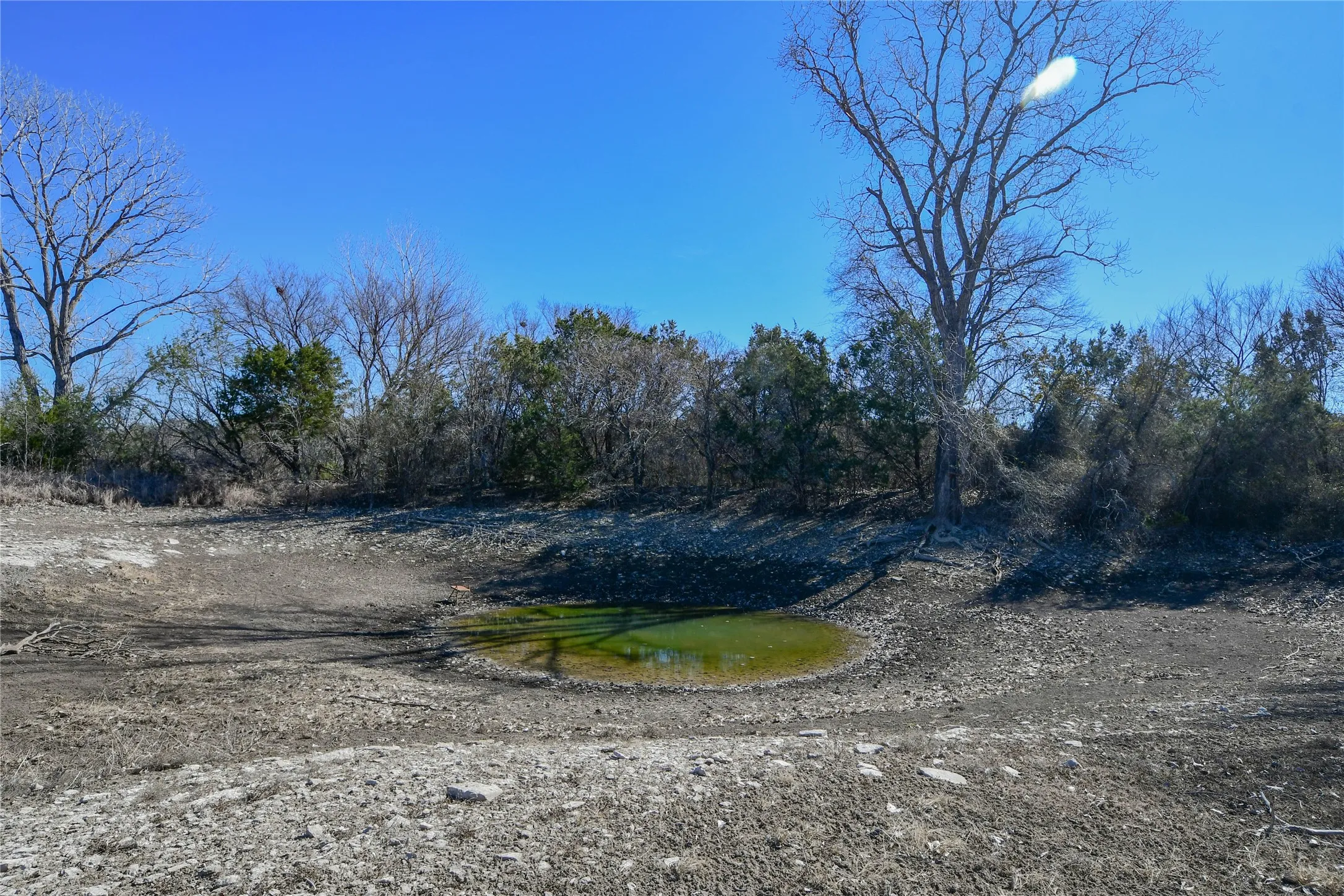 Pond