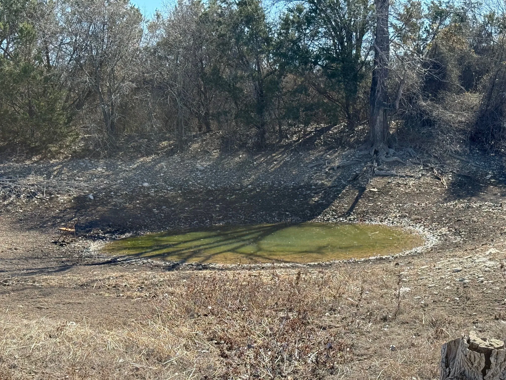 Pond