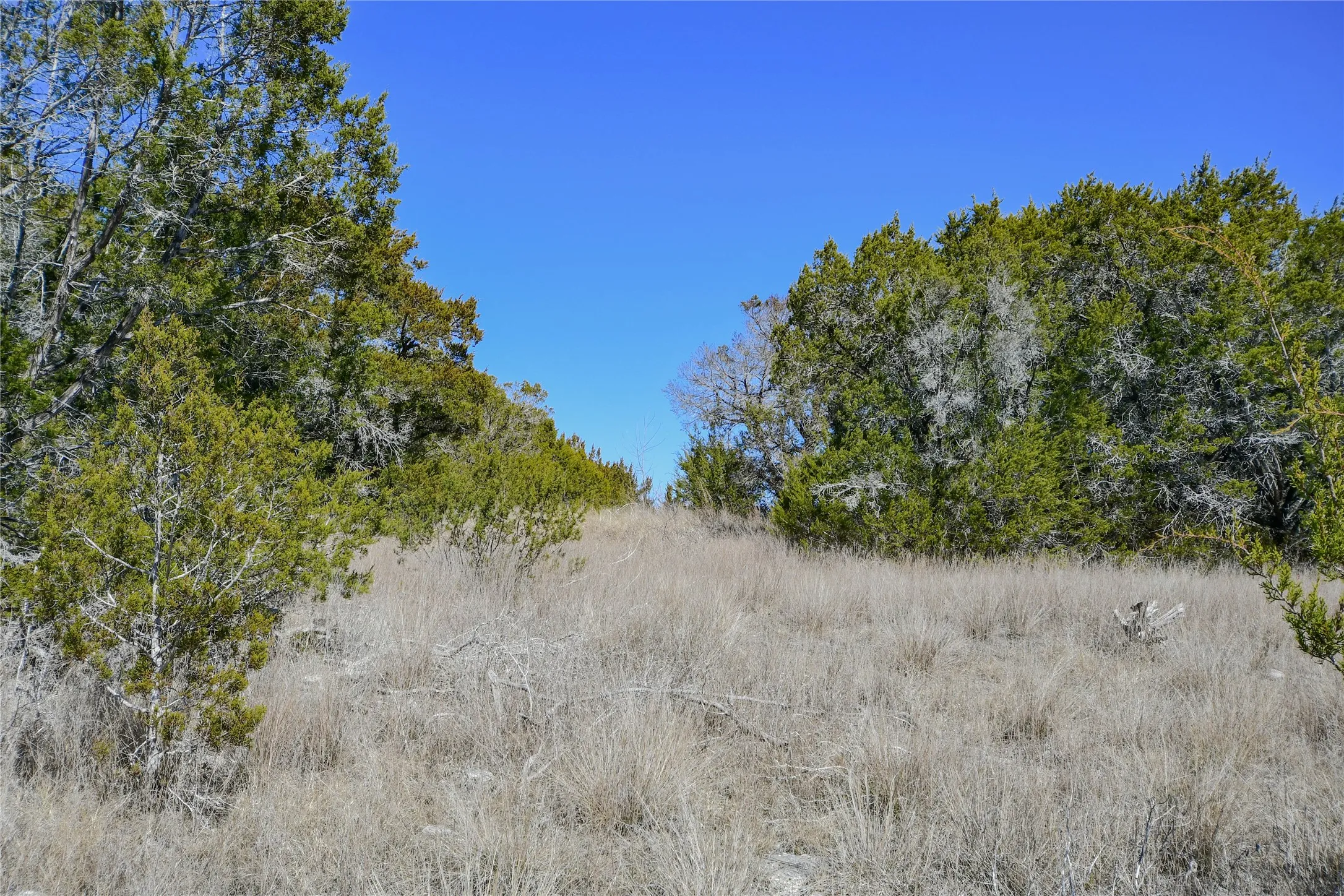 Improved Land For Sale in Hood County , 7385 Hayworth Highway, Granbury, Texas 76048, 0, 0, Garage spaces, 0 Sqft, built in 0, mls#21176682, Real Estate Agent in Granbury, Homes For Sale in Hood county, Homes For Sale in Granbury, Realtor in Granbury Texas, Real Estate Brokerage Independent Realty Texas, Luminita Cordes Realtor