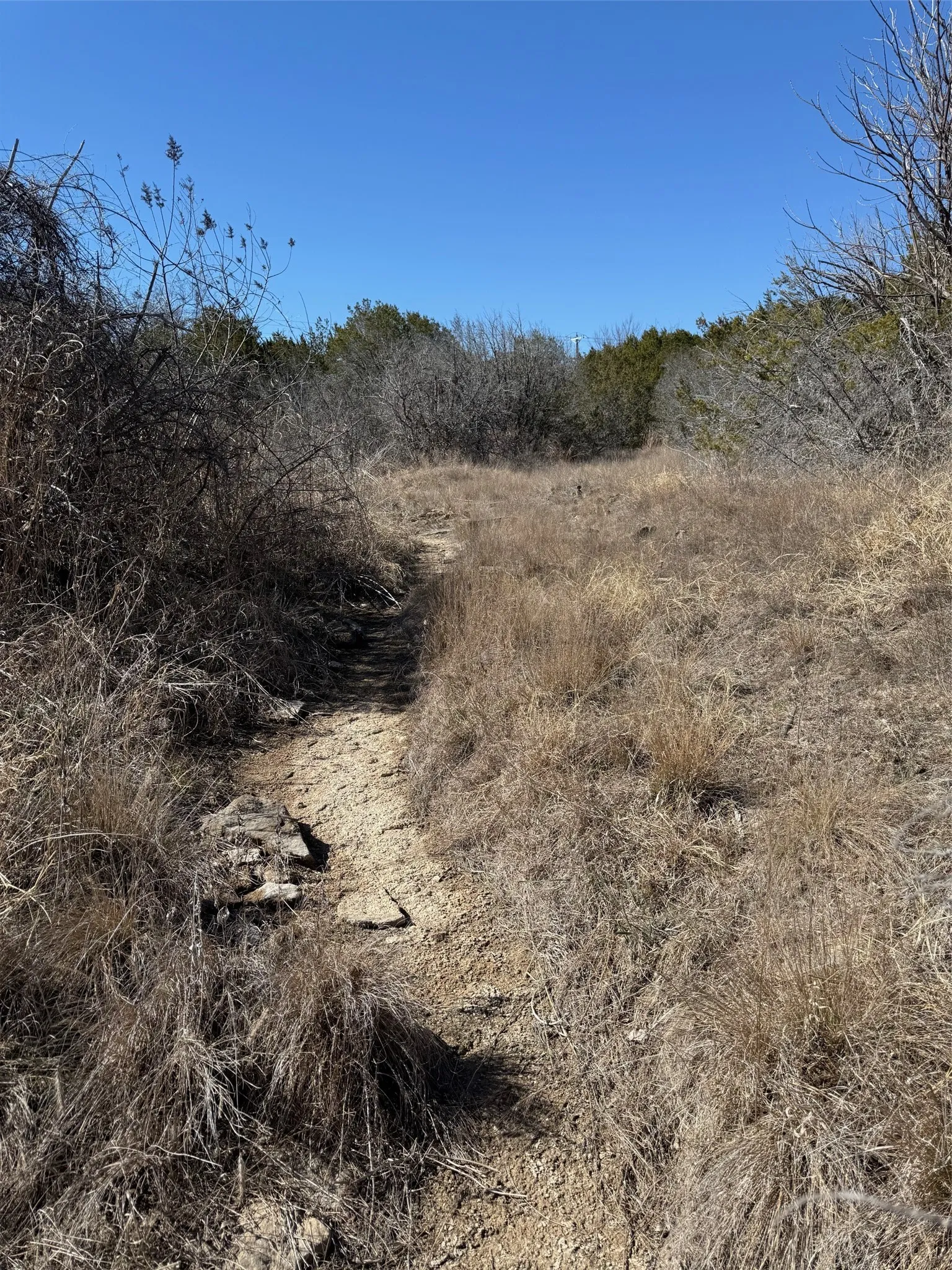 Improved Land For Sale in Hood County , 7385 Hayworth Highway, Granbury, Texas 76048, 0, 0, Garage spaces, 0 Sqft, built in 0, mls#21176682, Real Estate Agent in Granbury, Homes For Sale in Hood county, Homes For Sale in Granbury, Realtor in Granbury Texas, Real Estate Brokerage Independent Realty Texas, Luminita Cordes Realtor