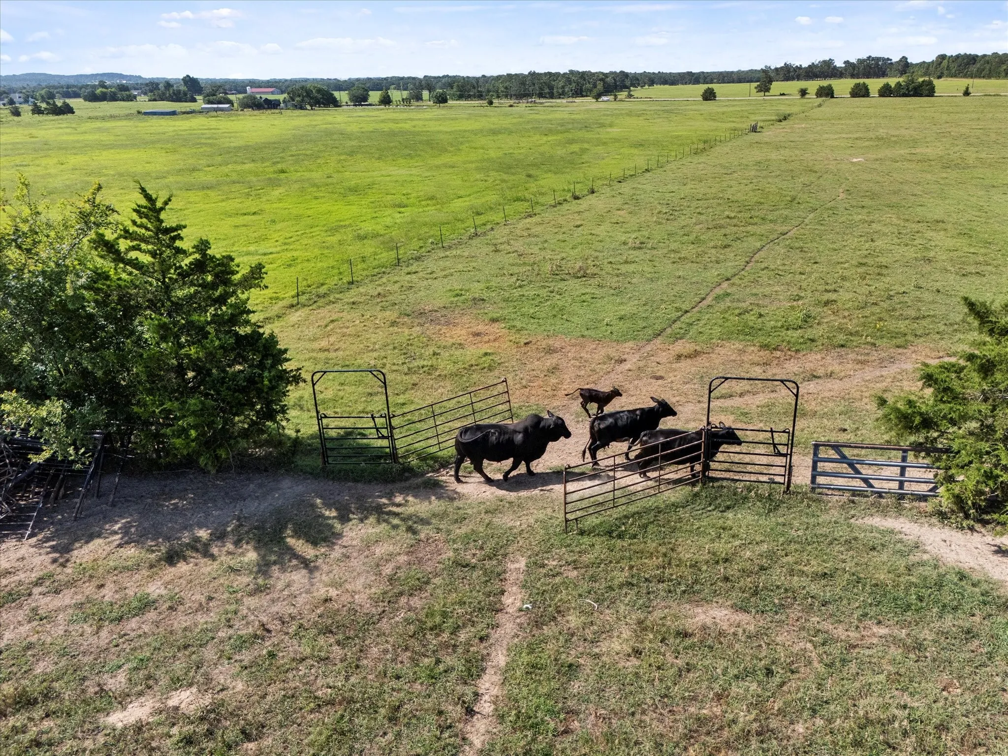View of yard featuring a rural view and a gate