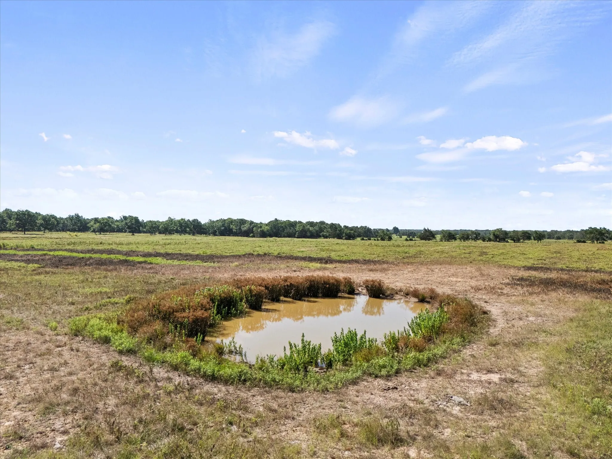 View of nature featuring a large body of water feeding spring