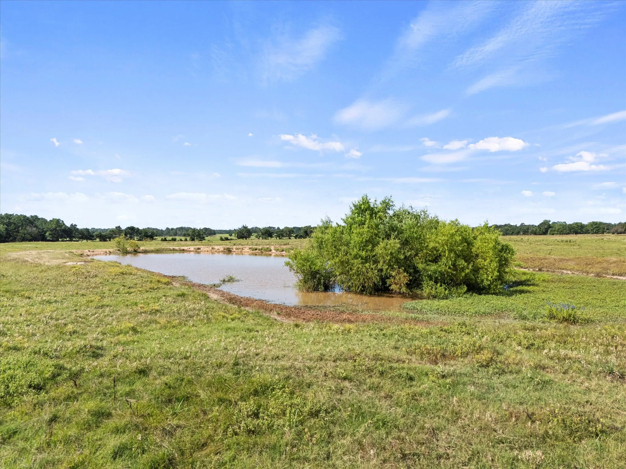 Pond from Lot 1